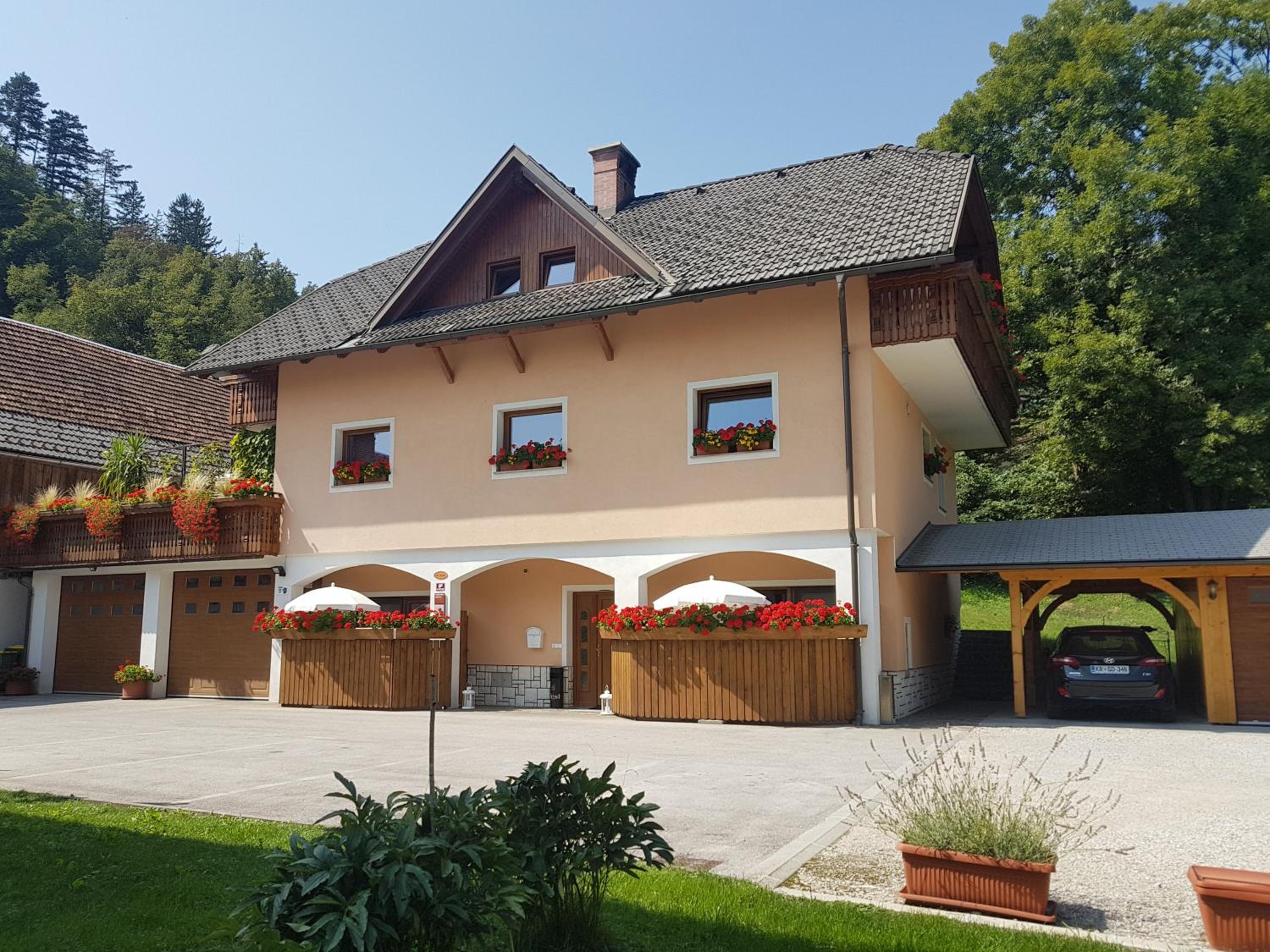 Apartmaji Mežan