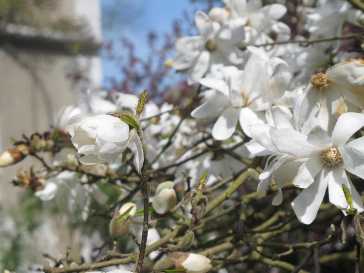 Pau Vacations - Villa Dampierre - Property Image 14