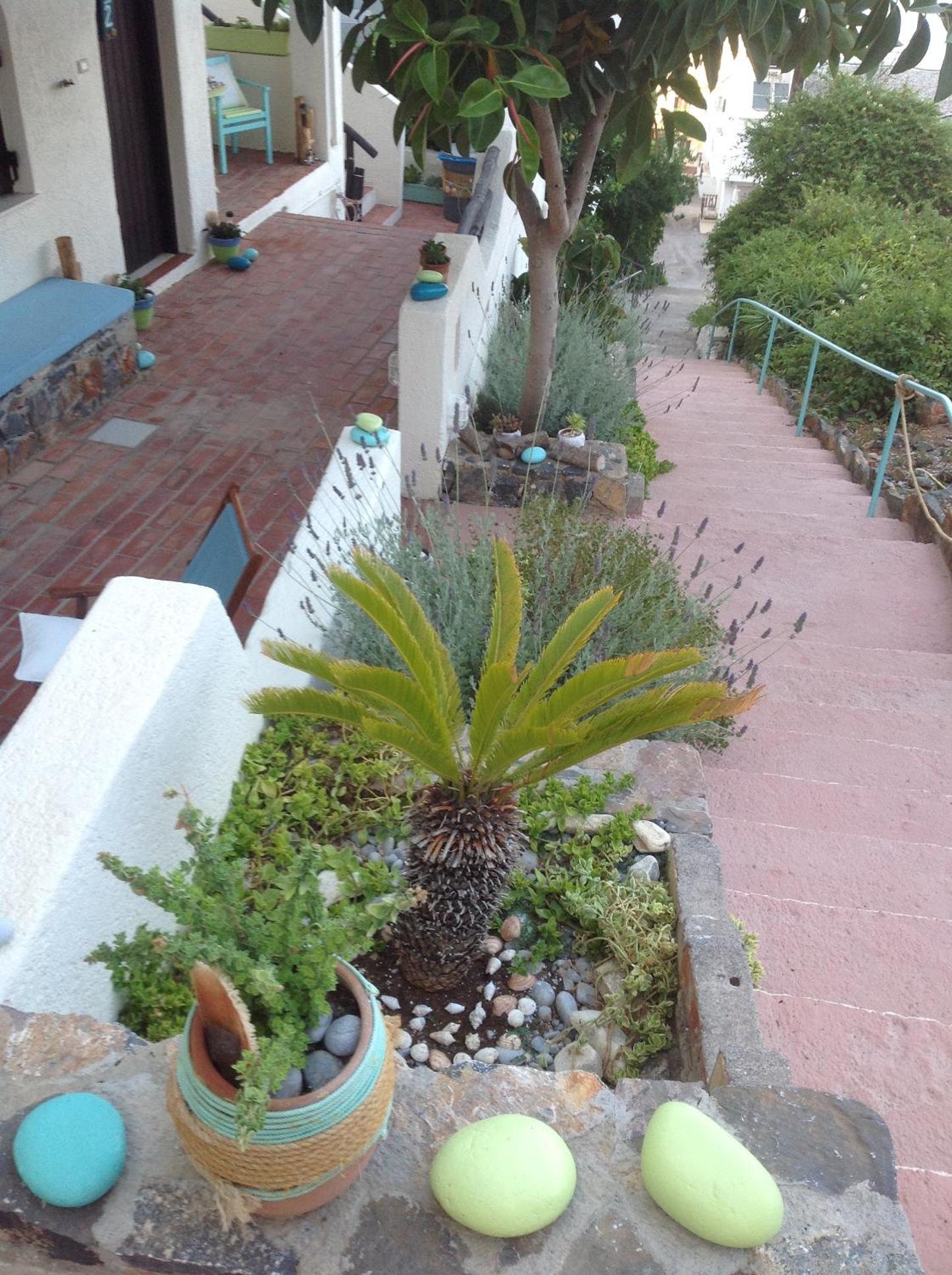 Photo 38