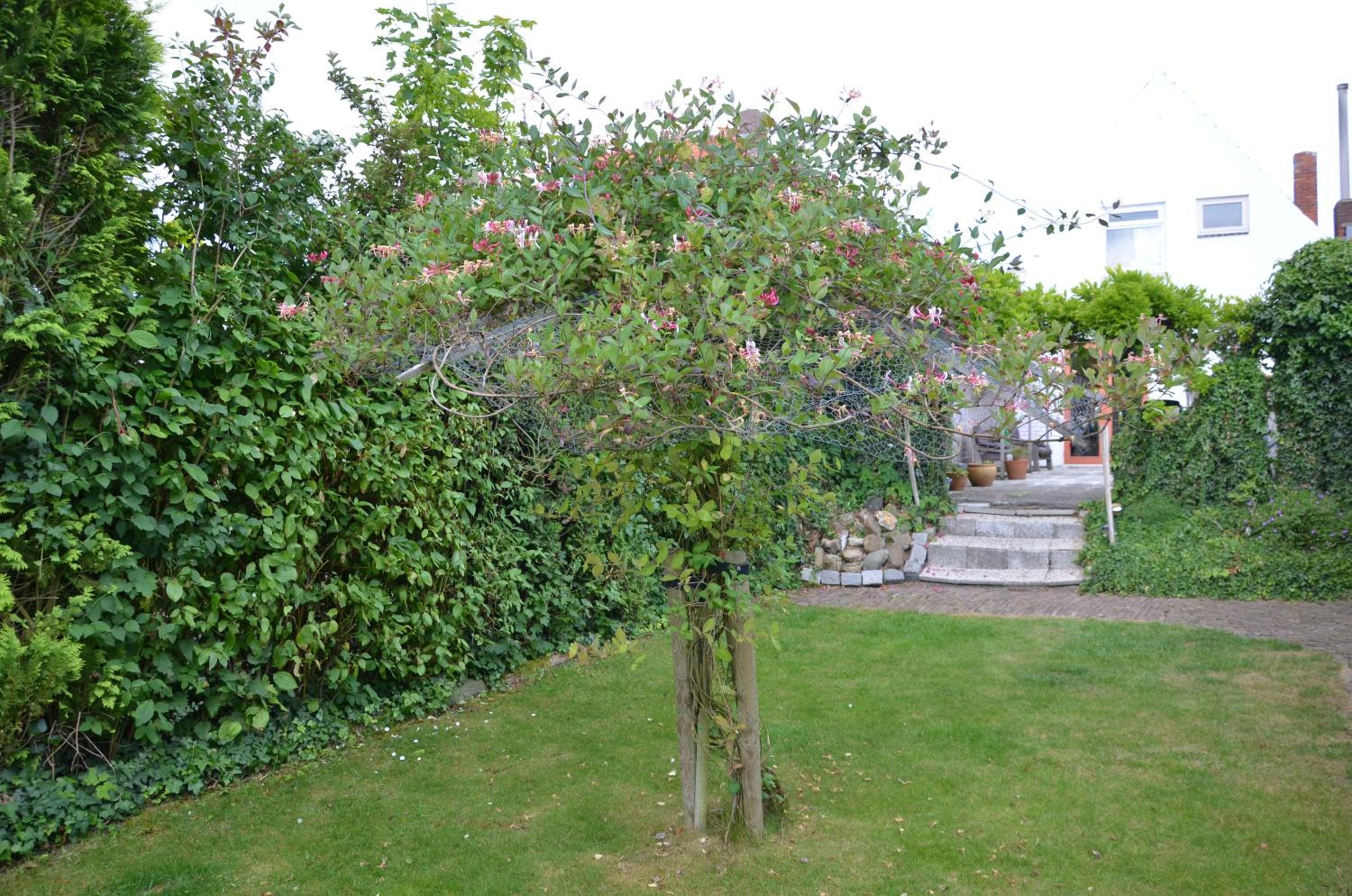 Photo 21