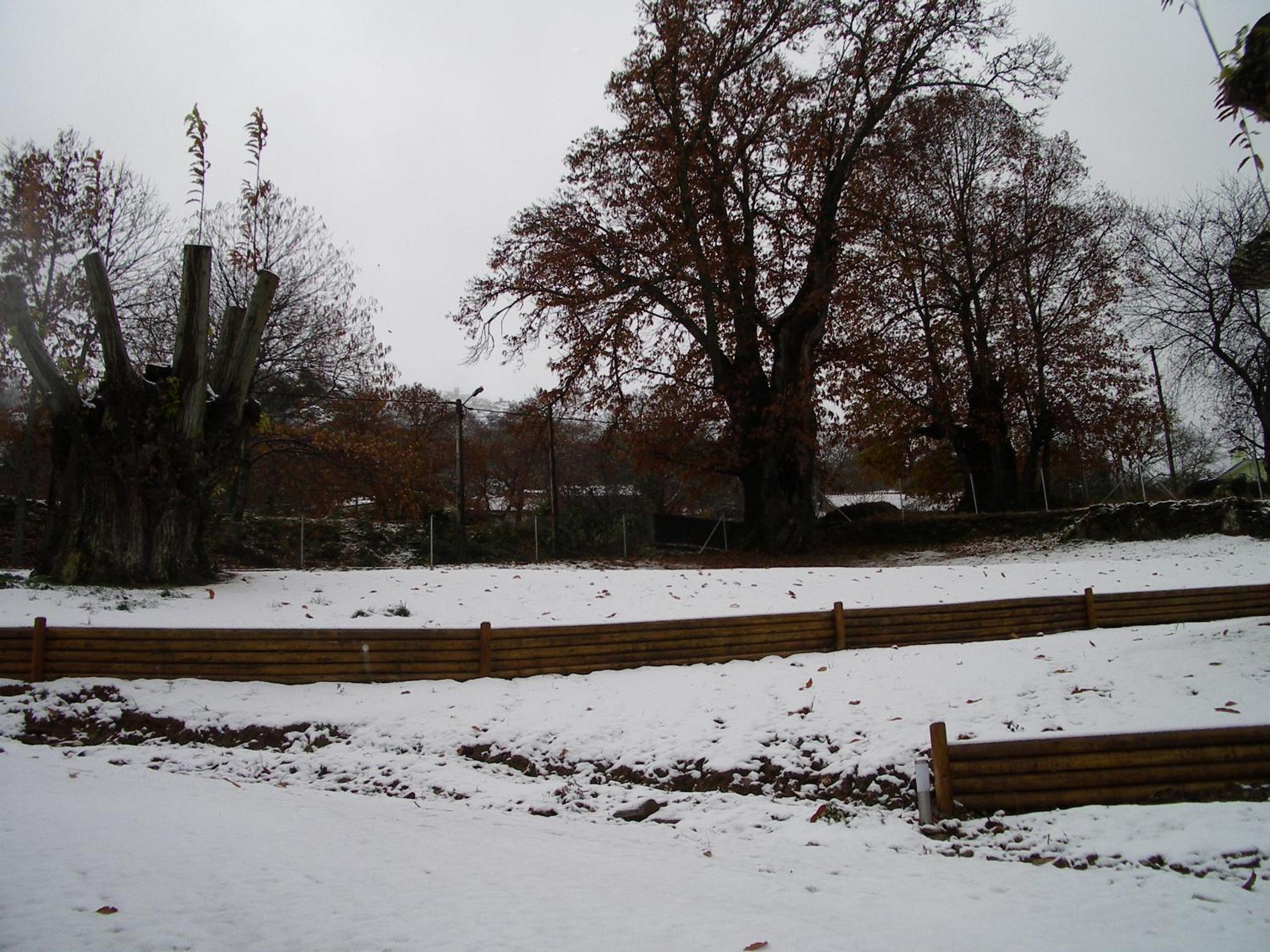 Photo 42