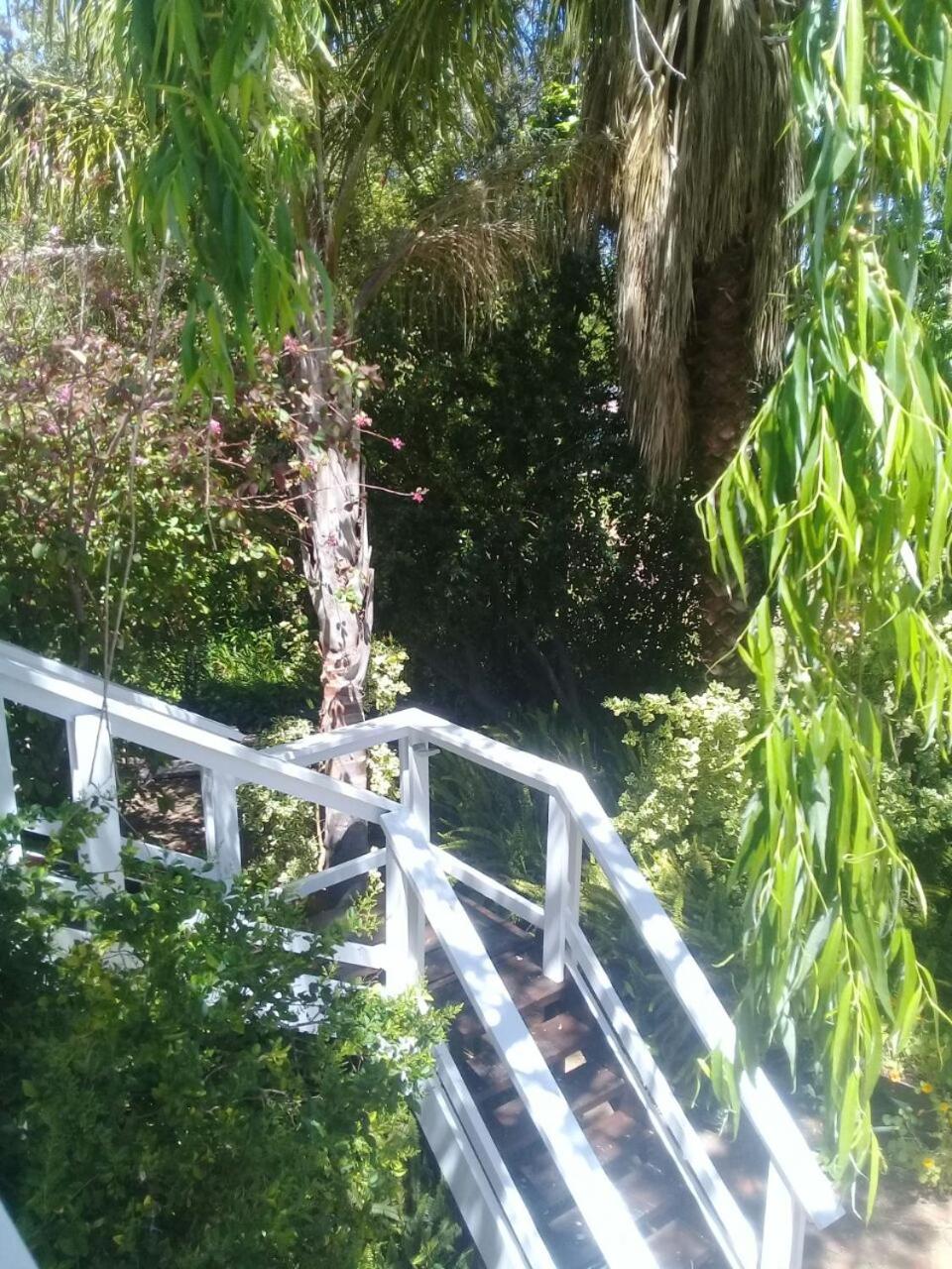 Photo 34