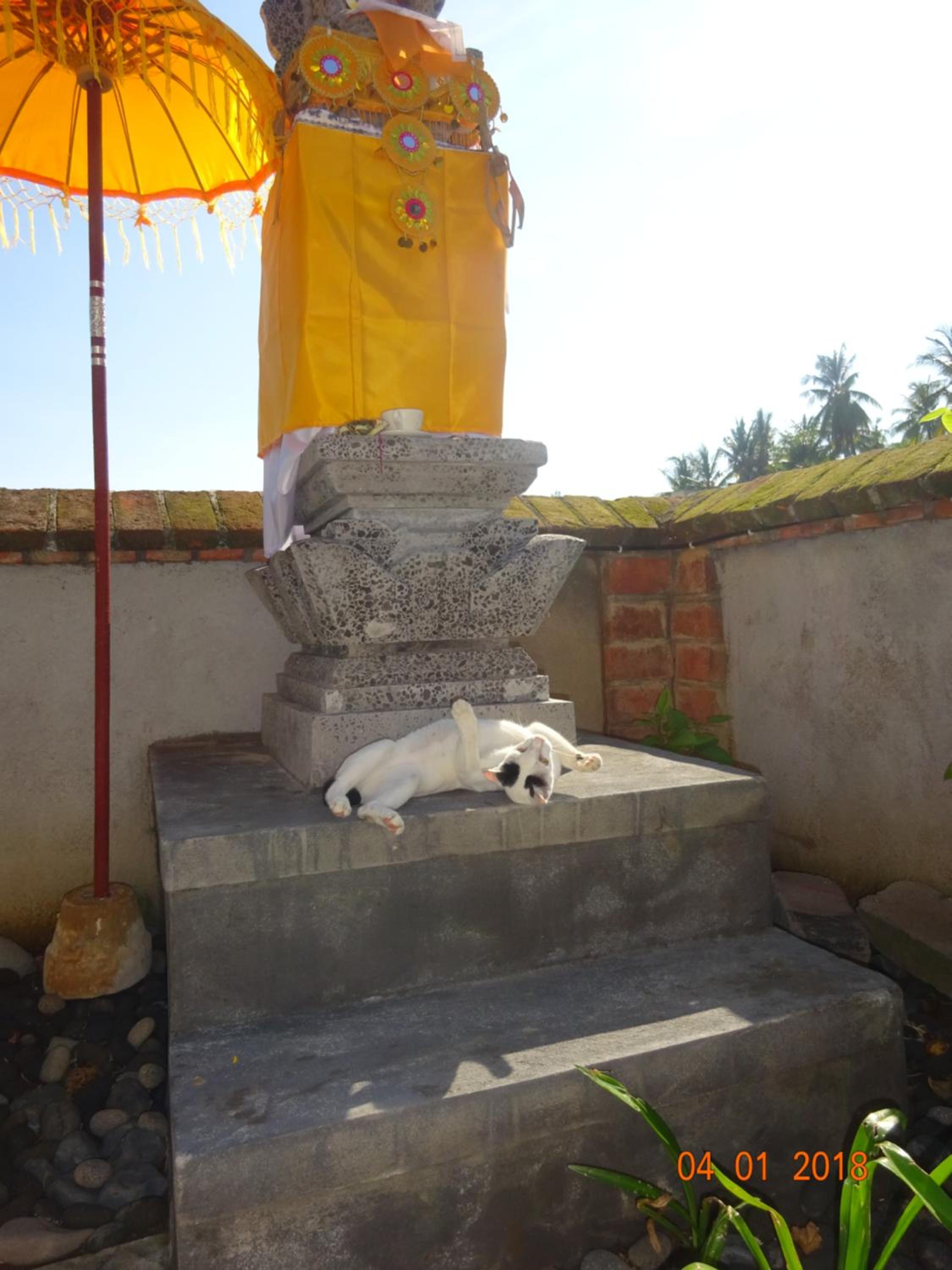 Photo 27