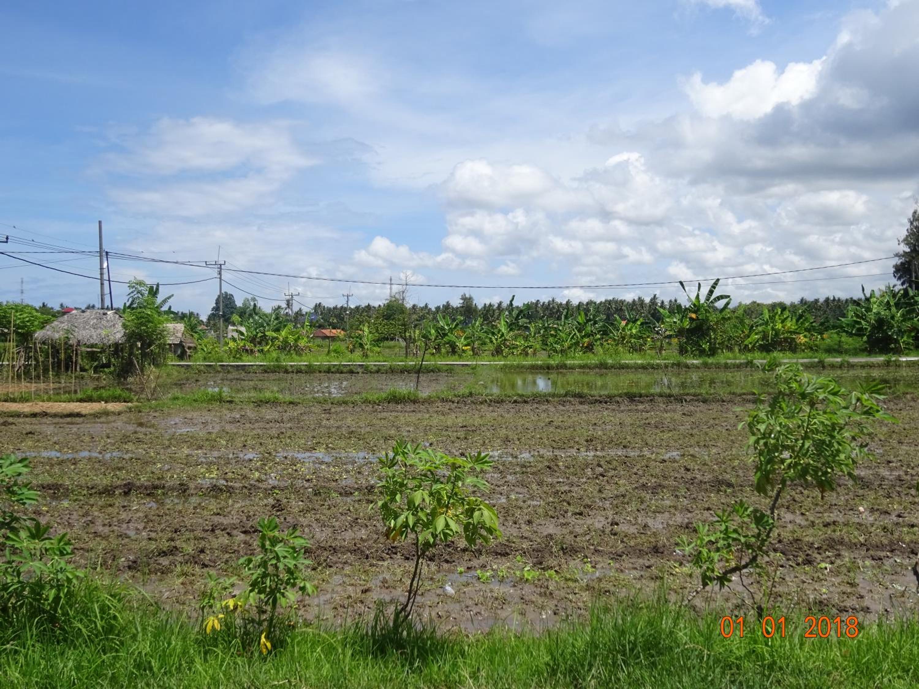 Photo 41