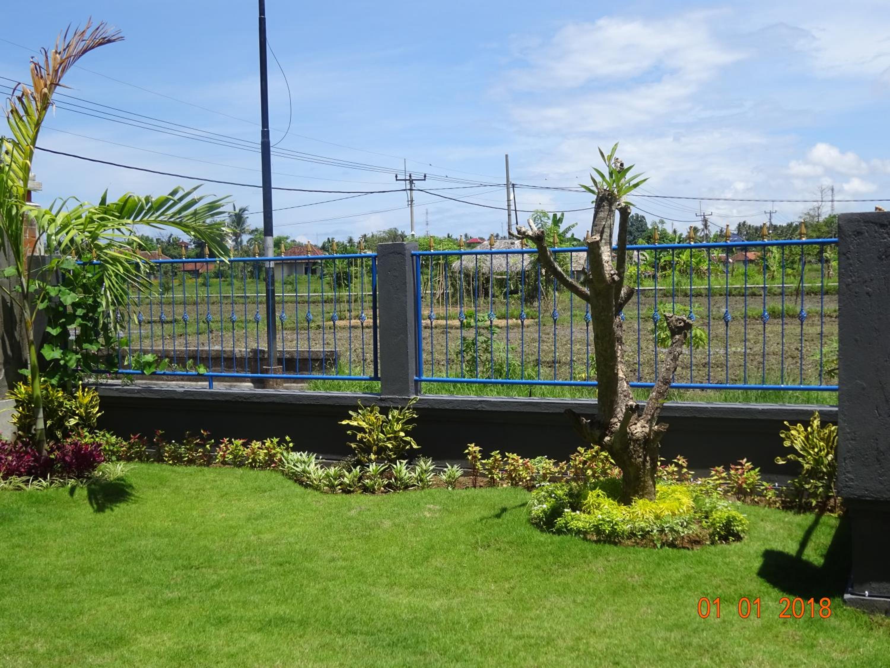 Photo 42