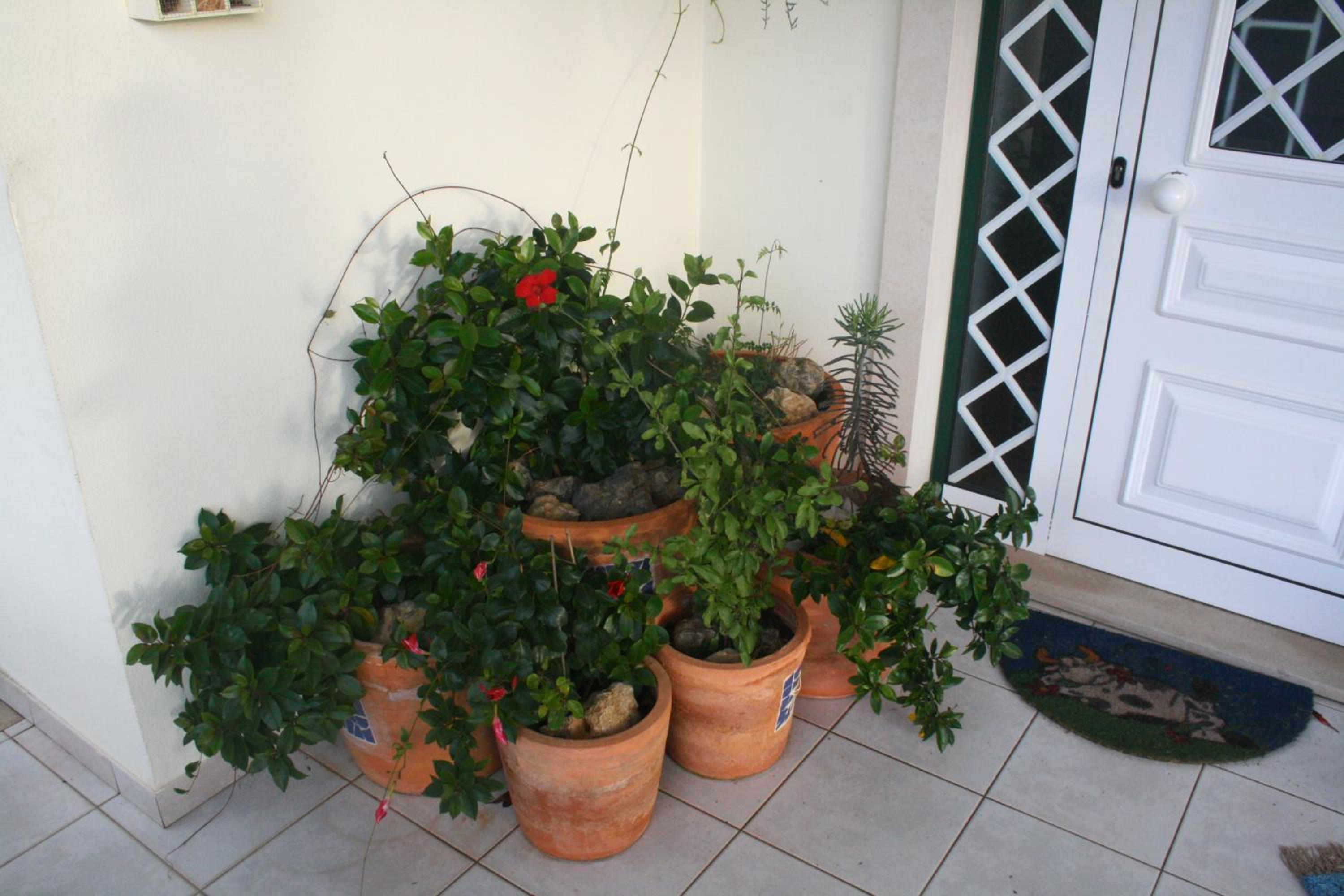 Photo 30