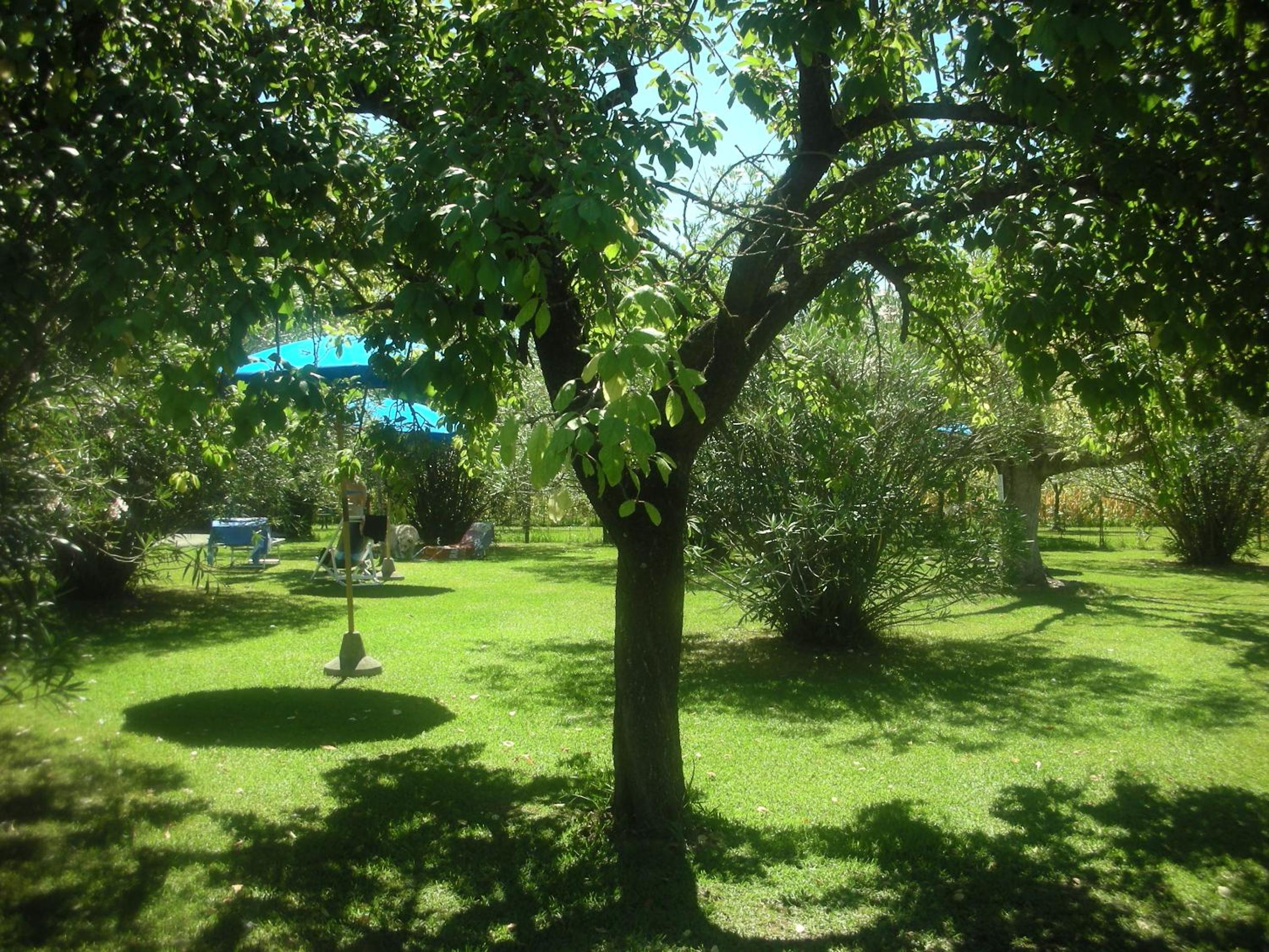 Photo 42