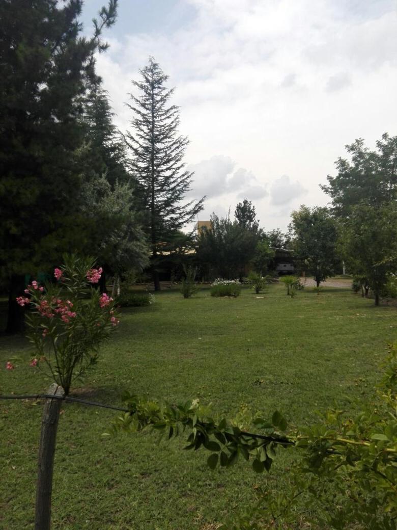 Casa Rural entre Bodegas y Viñedos ' El Jarillal