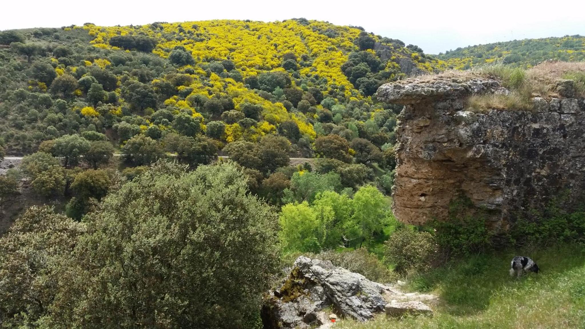Casa de piedra en Muga de Alba