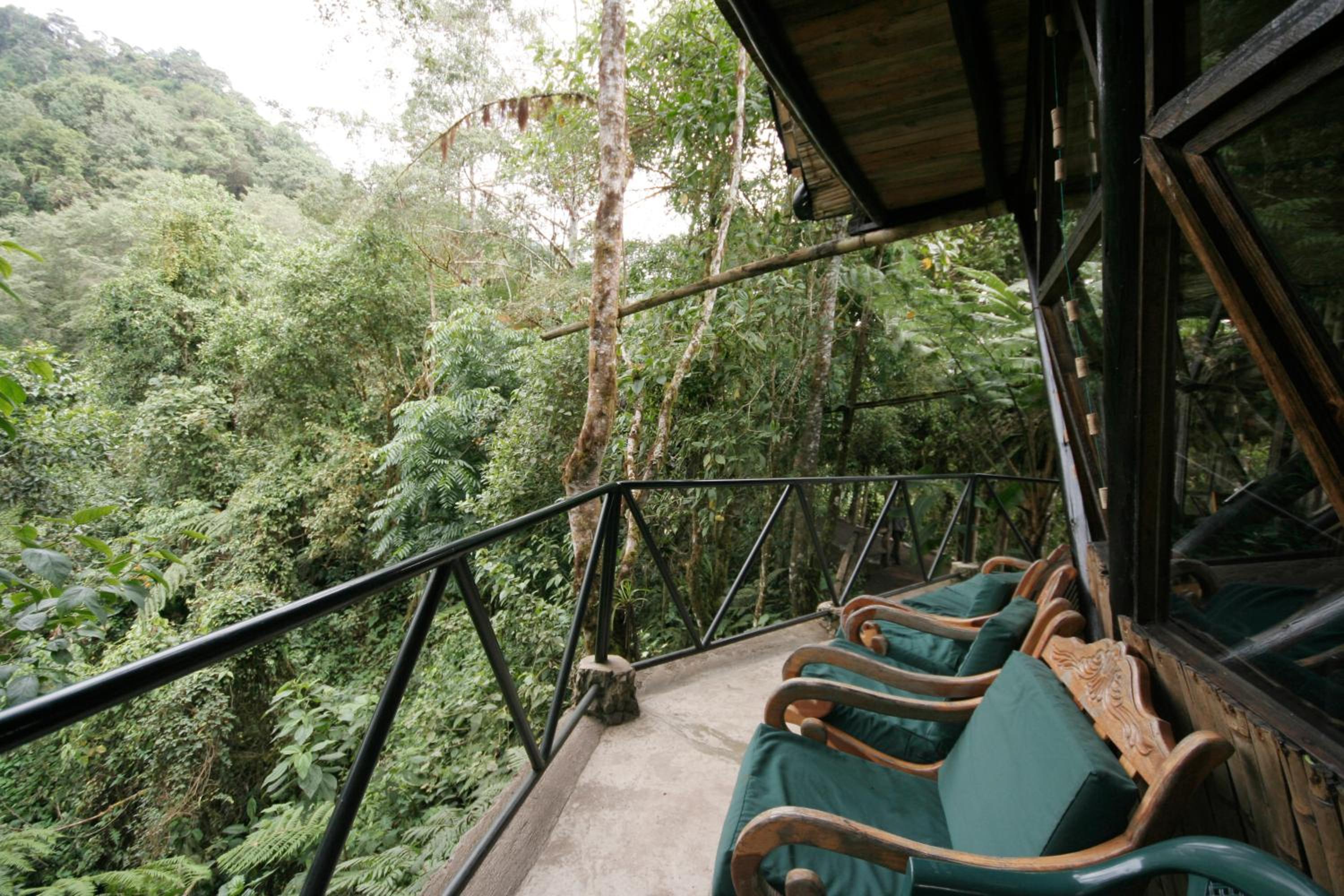 Bellavista Cloud Forest Lodge & Private Protected Area