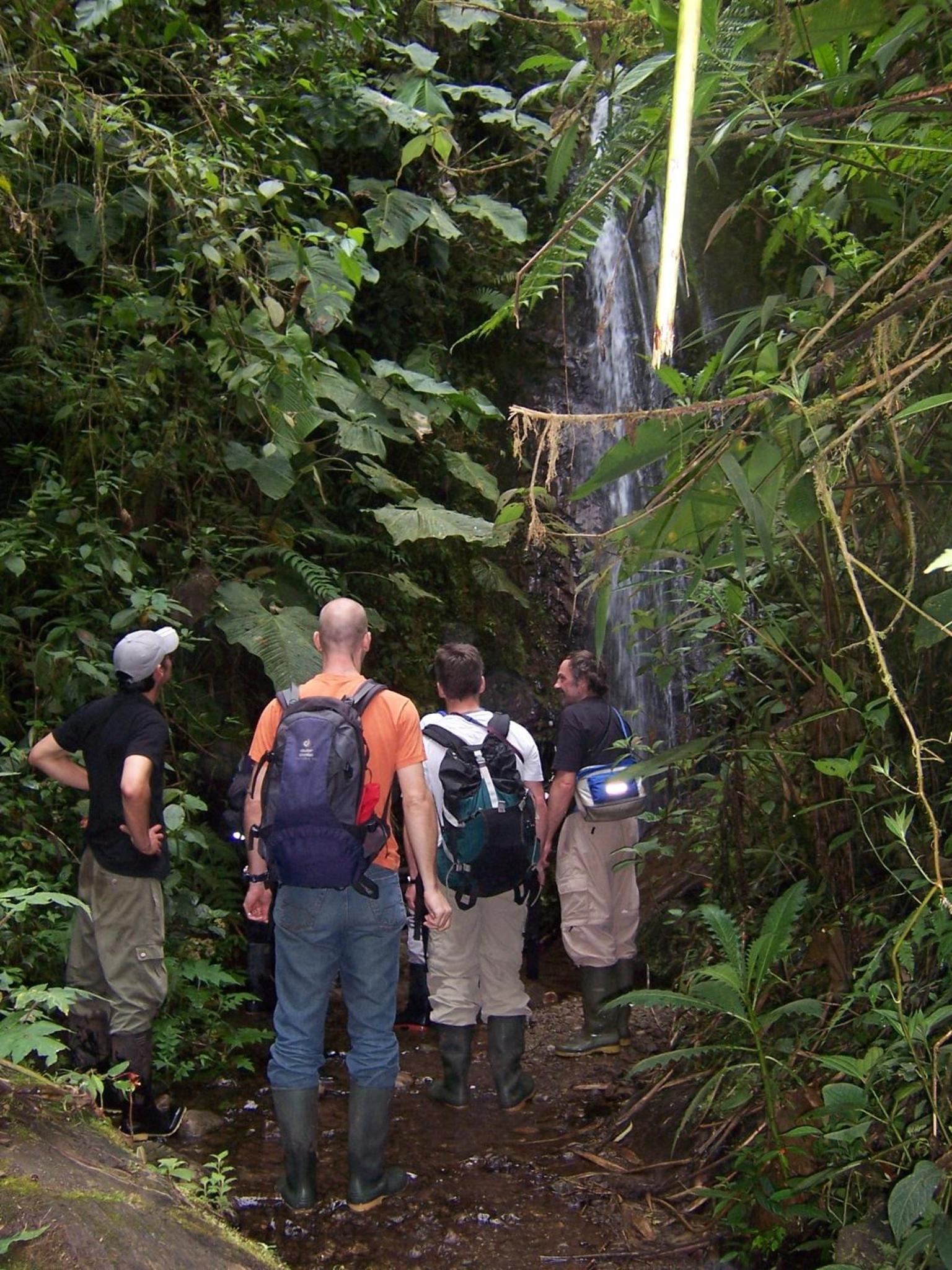 Bellavista Cloud Forest Lodge & Private Protected Area