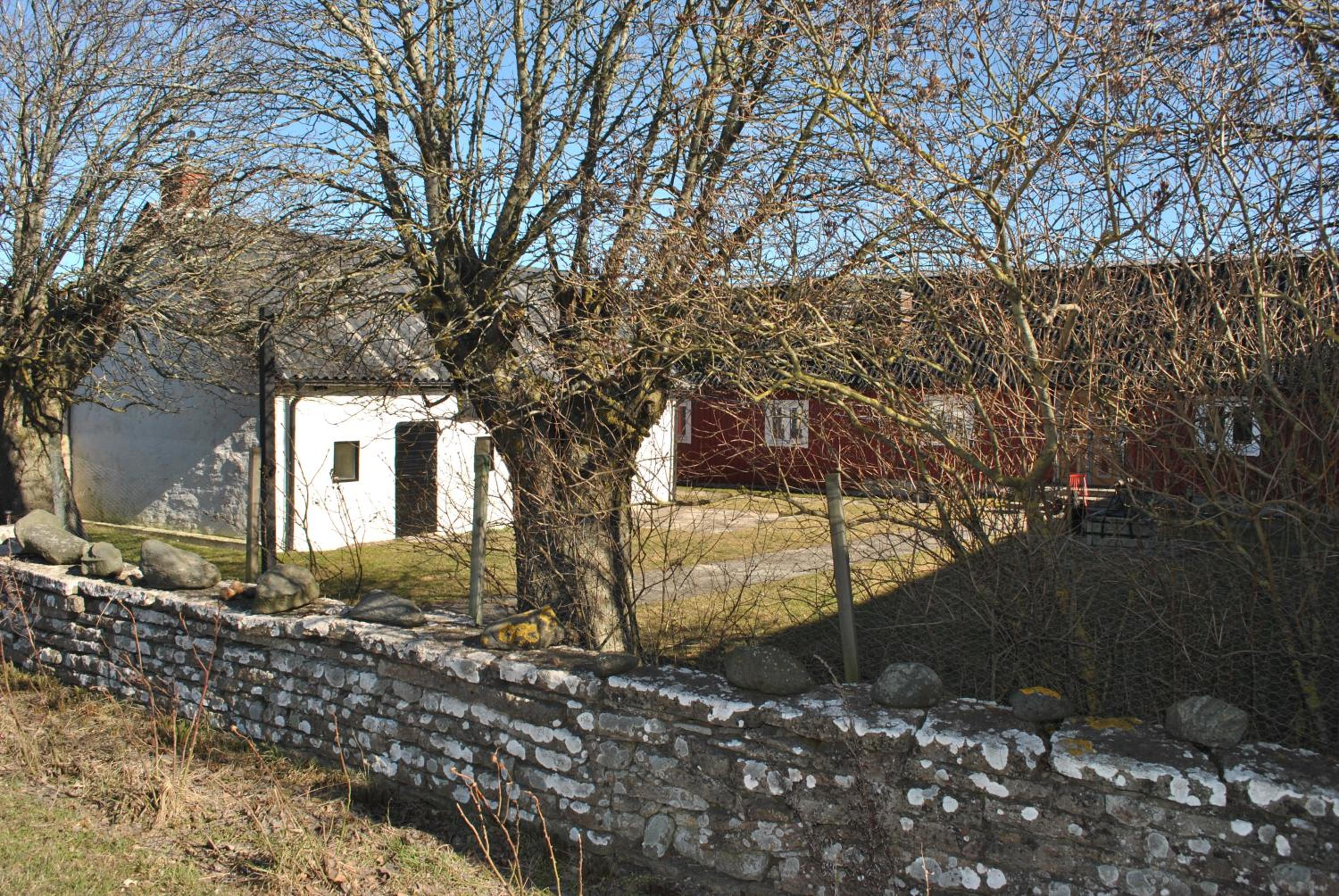 Photo 14