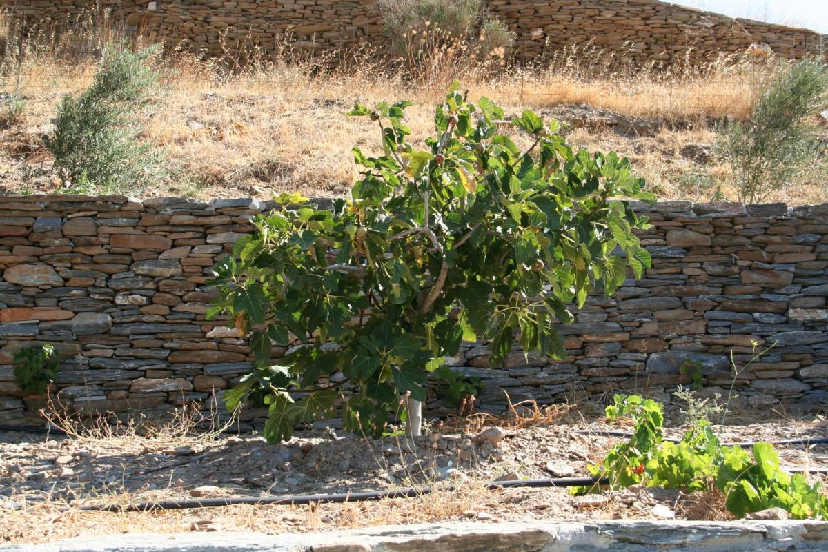 Photo 25