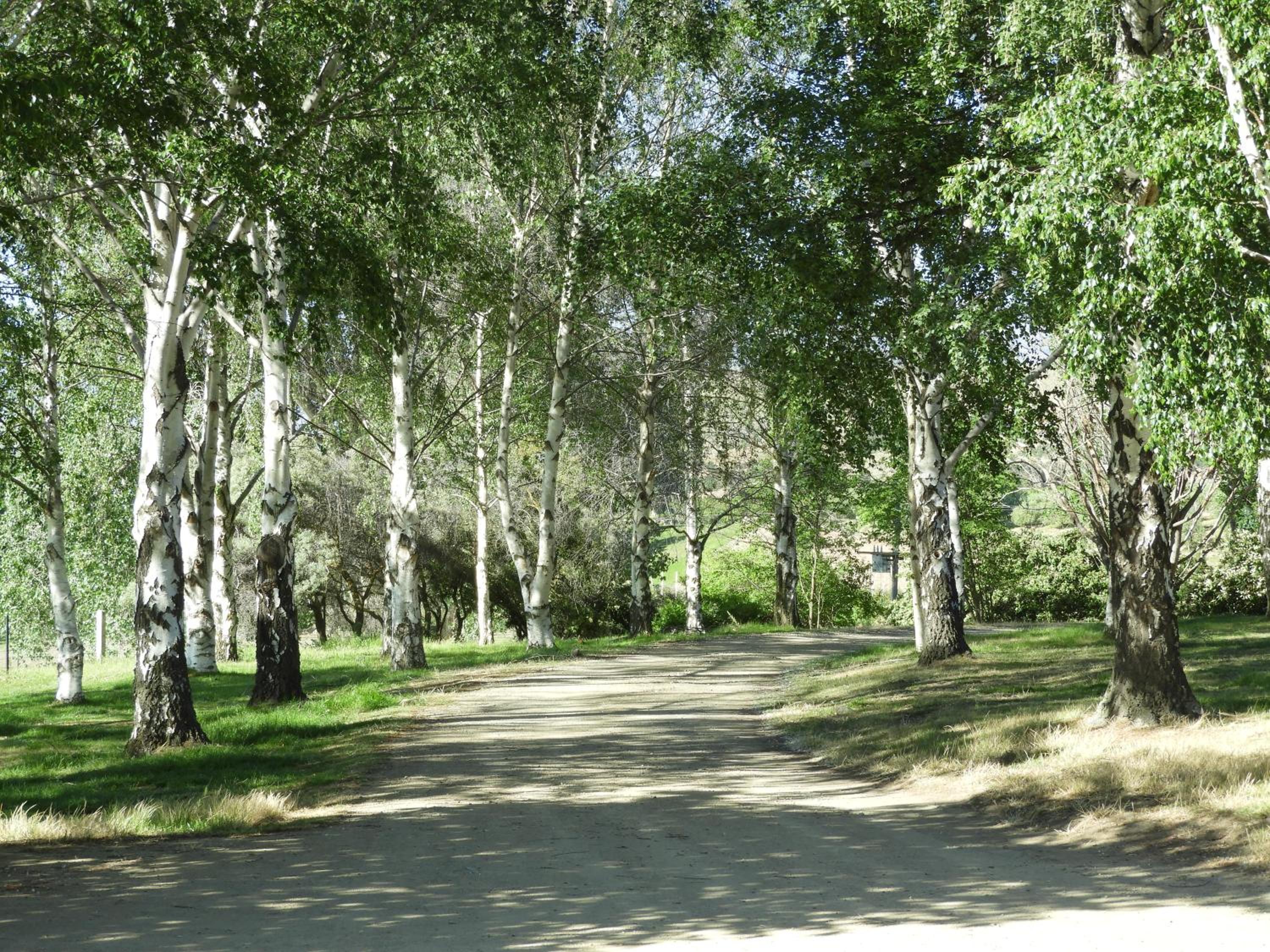 O Naturel Vineyard Stay view 3