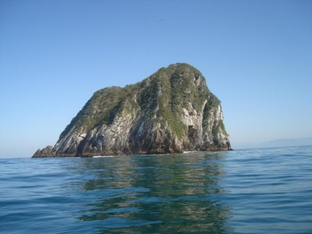 Photo 41