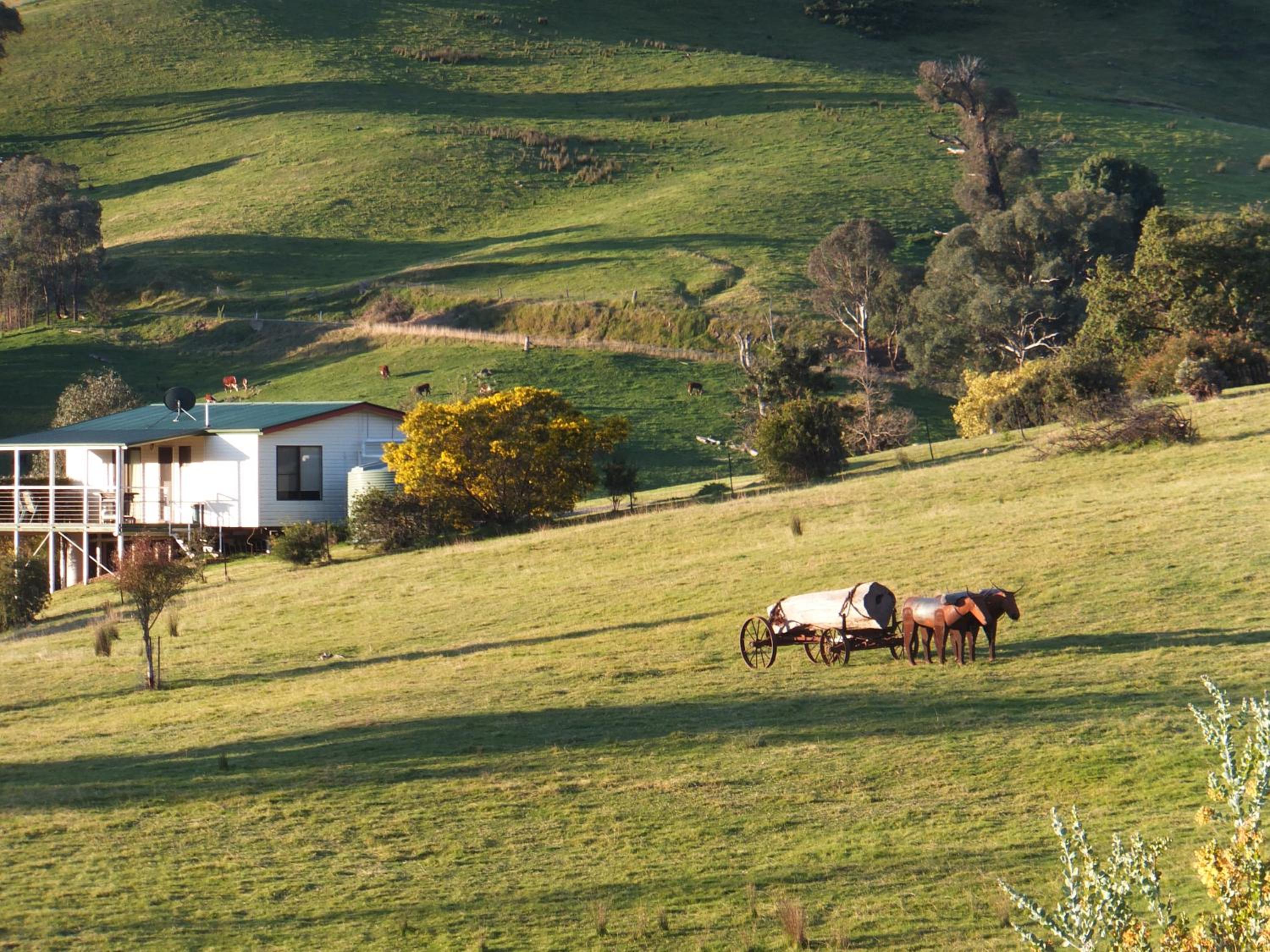 Elm Cottage Tumut