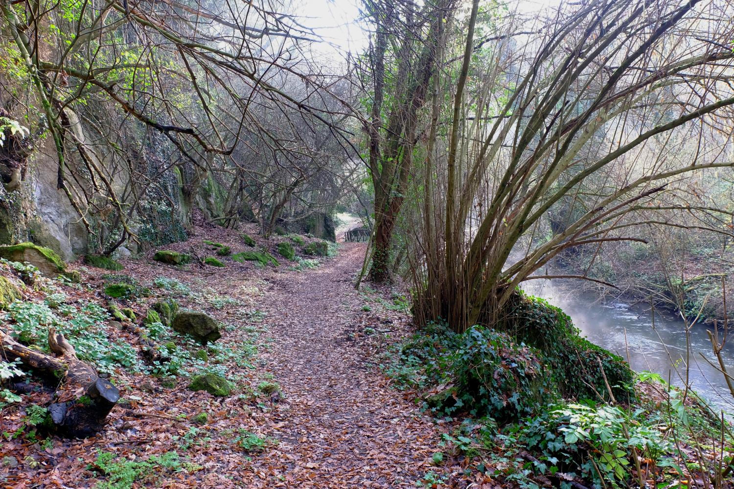 Photo 25