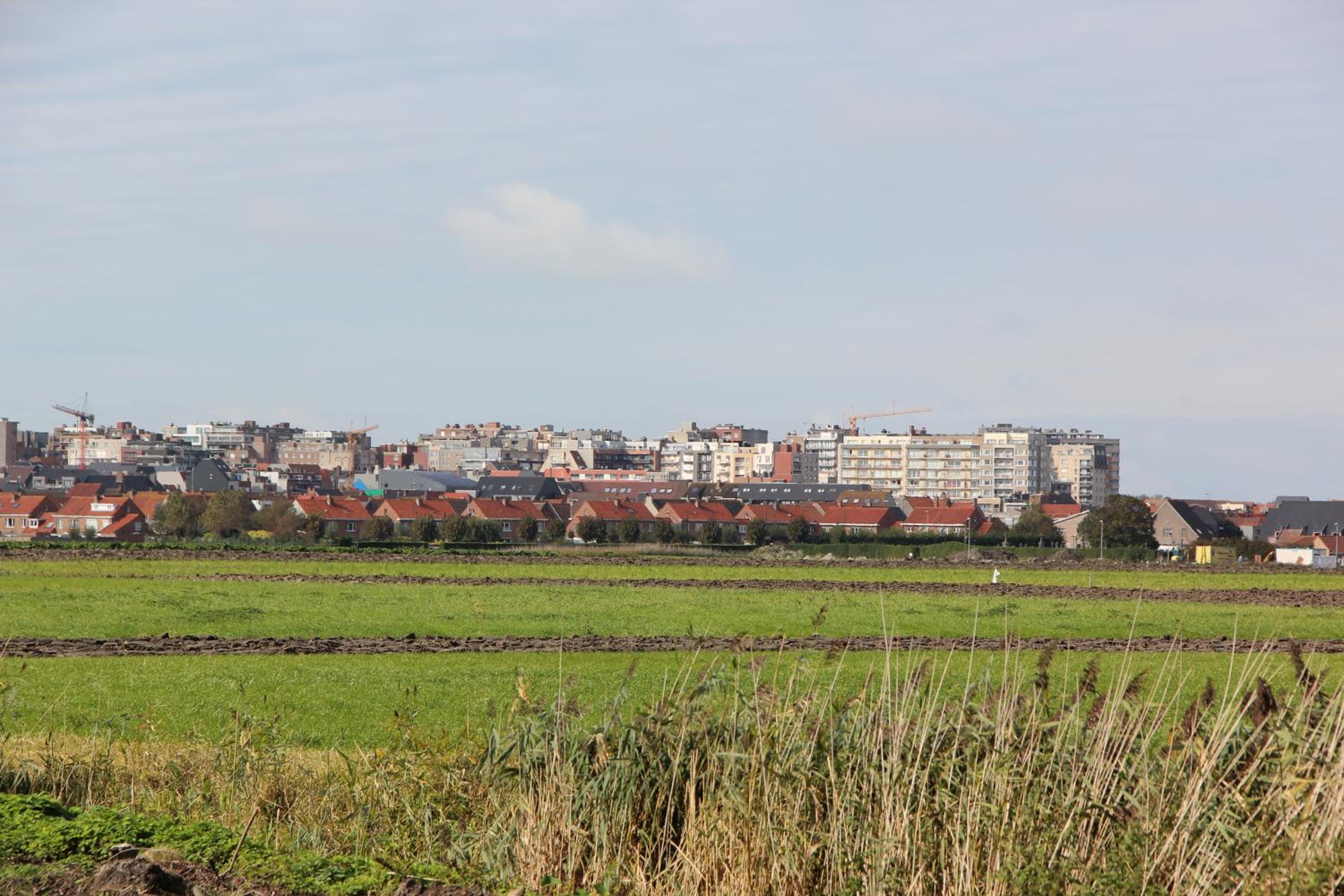 De Pastorie