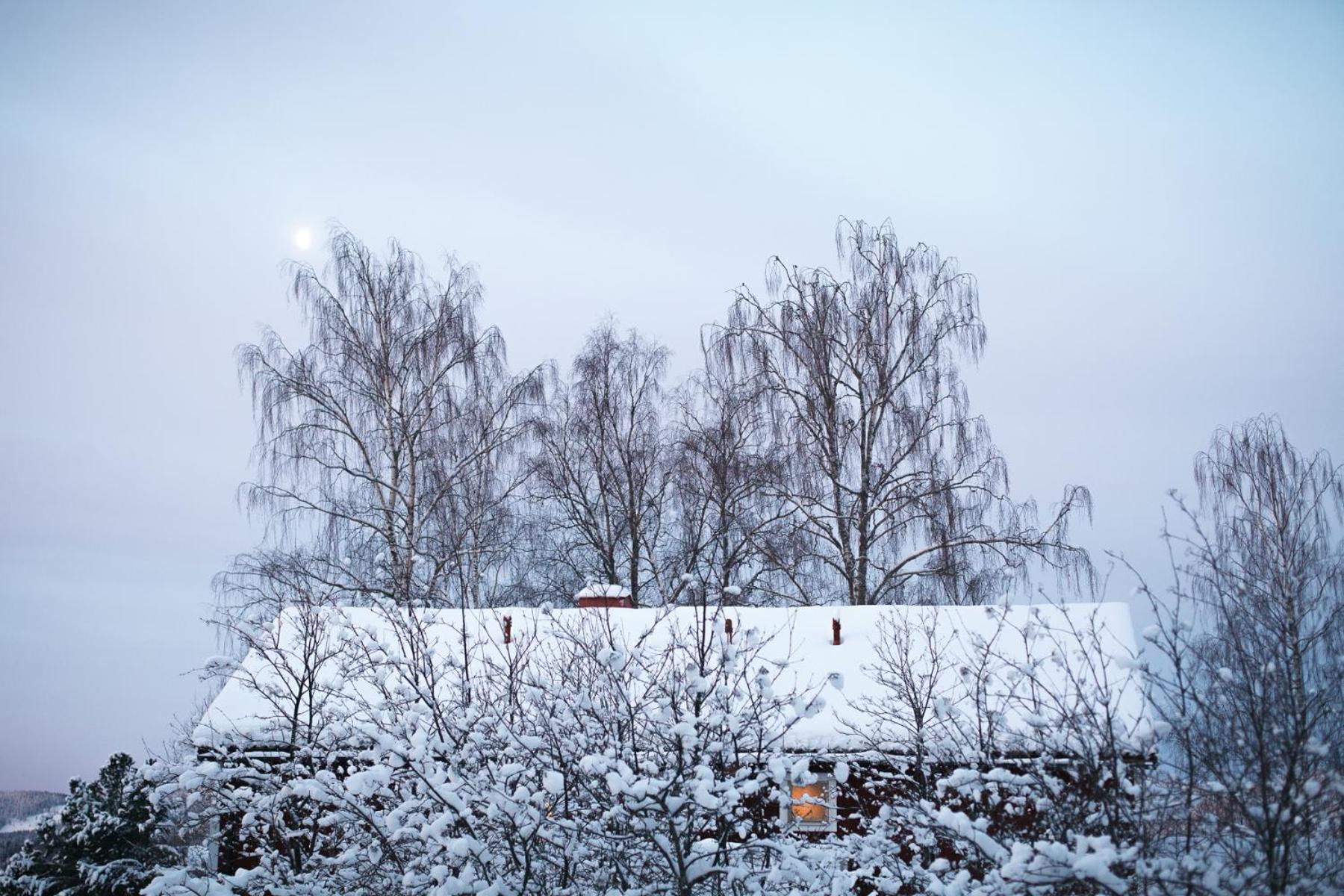 Helsingegården