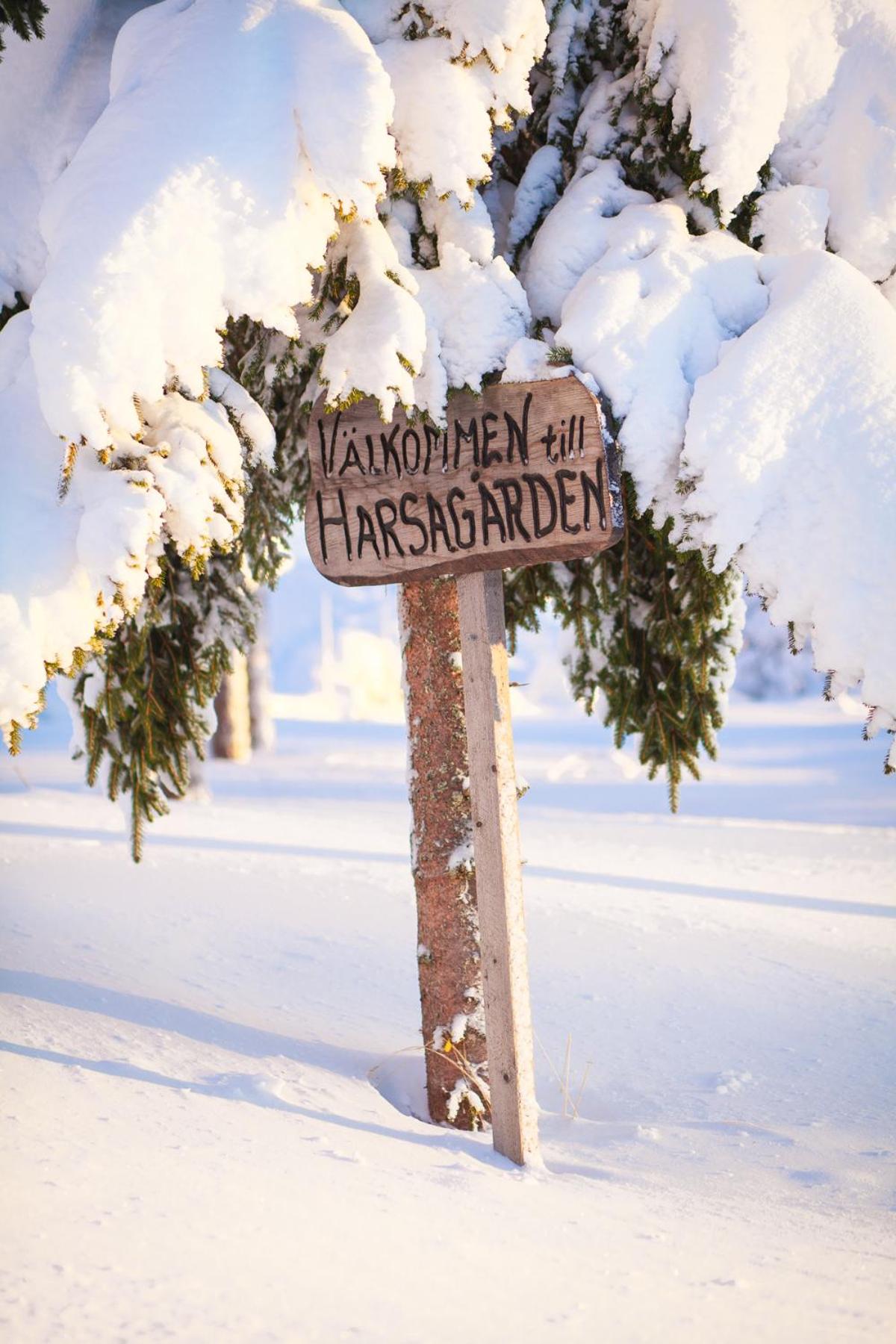 Helsingegården