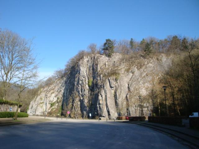 Le poirier de Warre