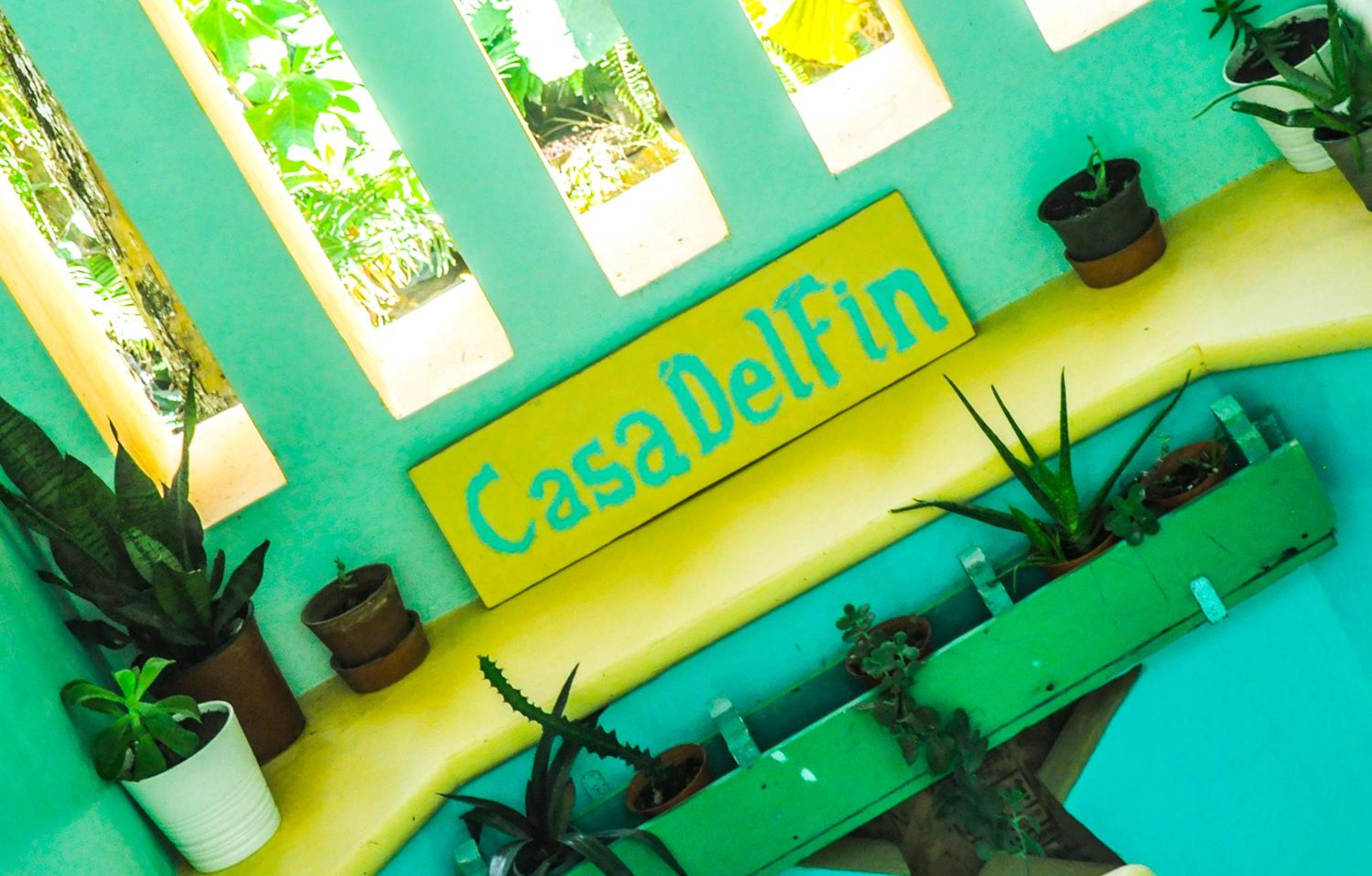 Casa Delfin Guest House
