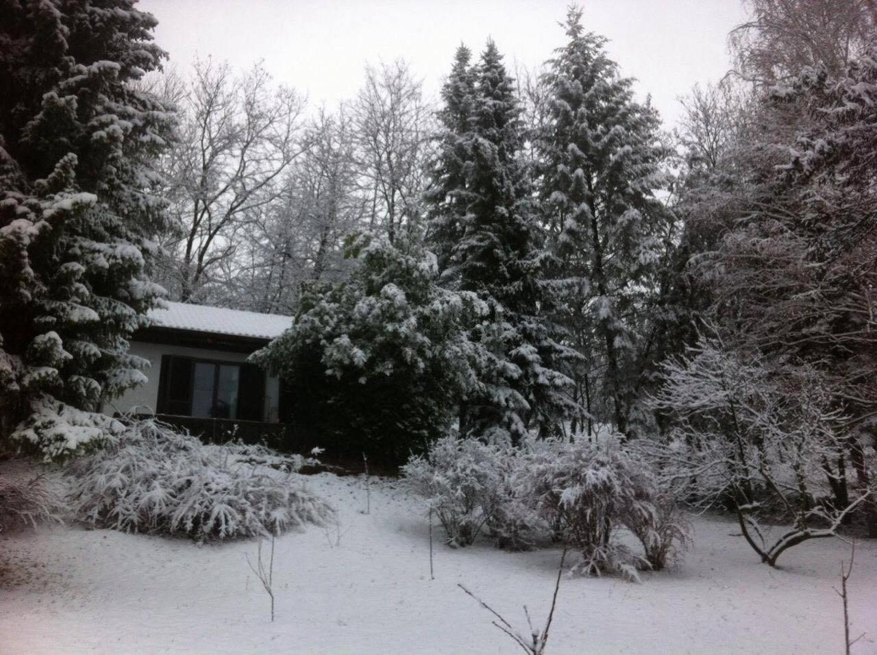 Photo 44