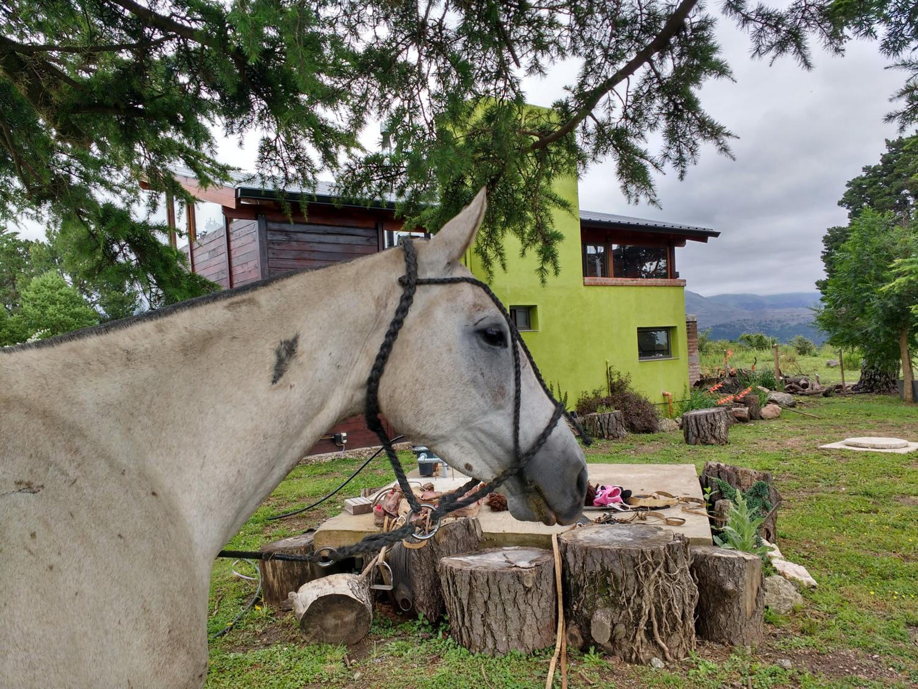 La Azotea cabañas & suites