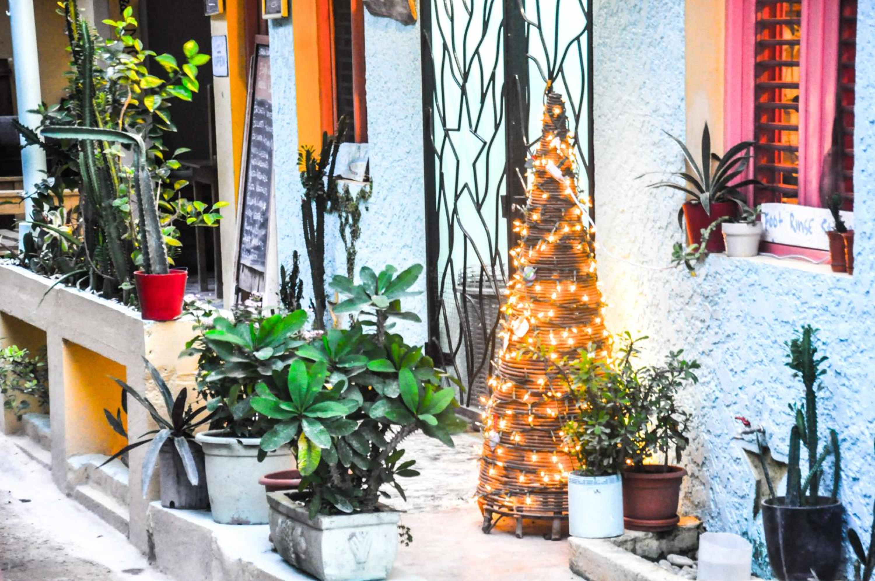 Casa Delfin Guest House