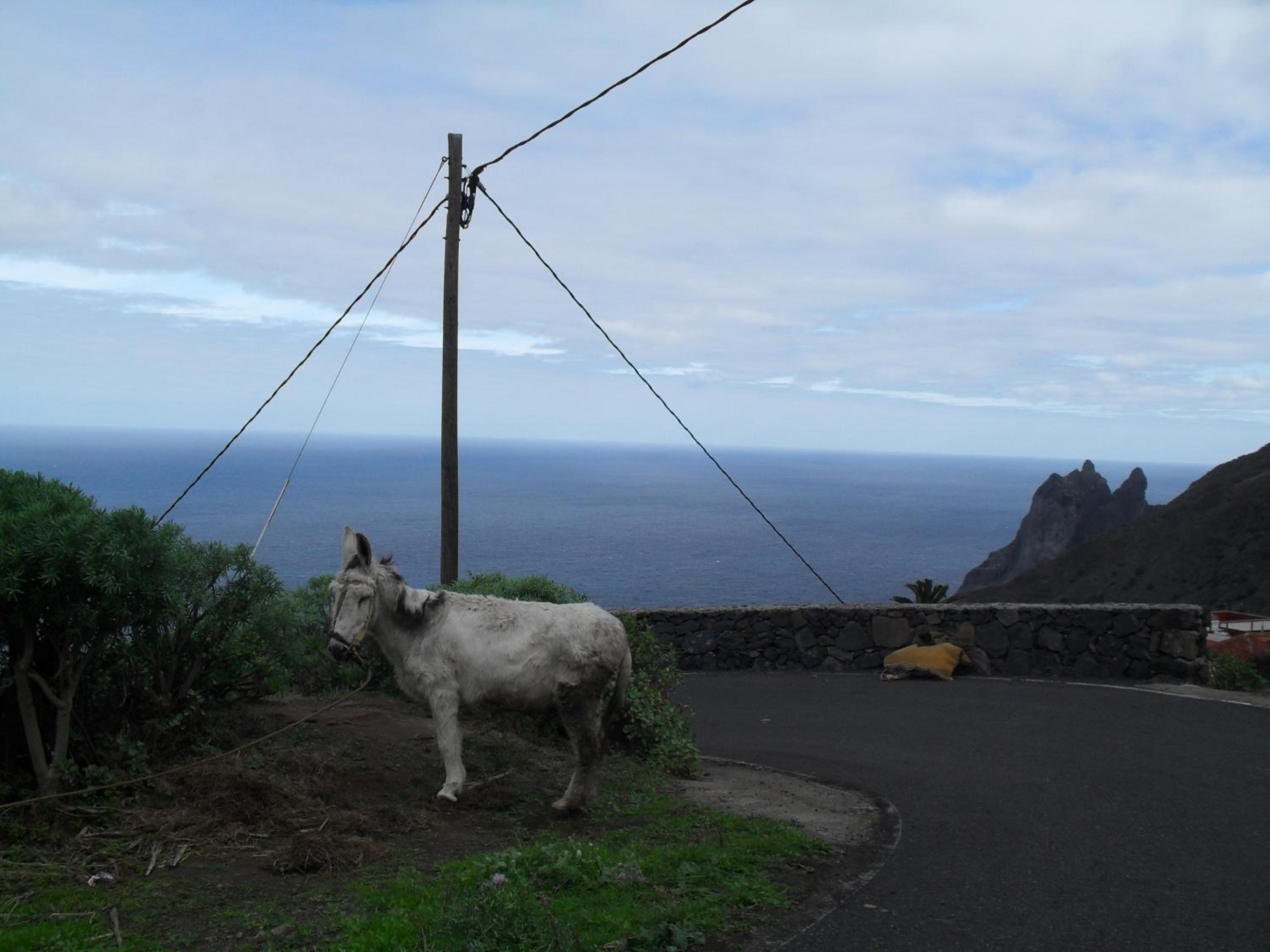 Casa Rural Arguamul view 4