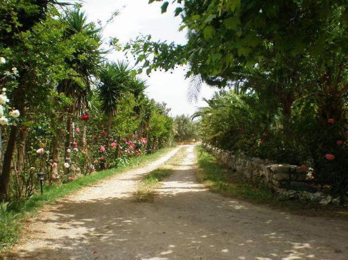 Photo 29