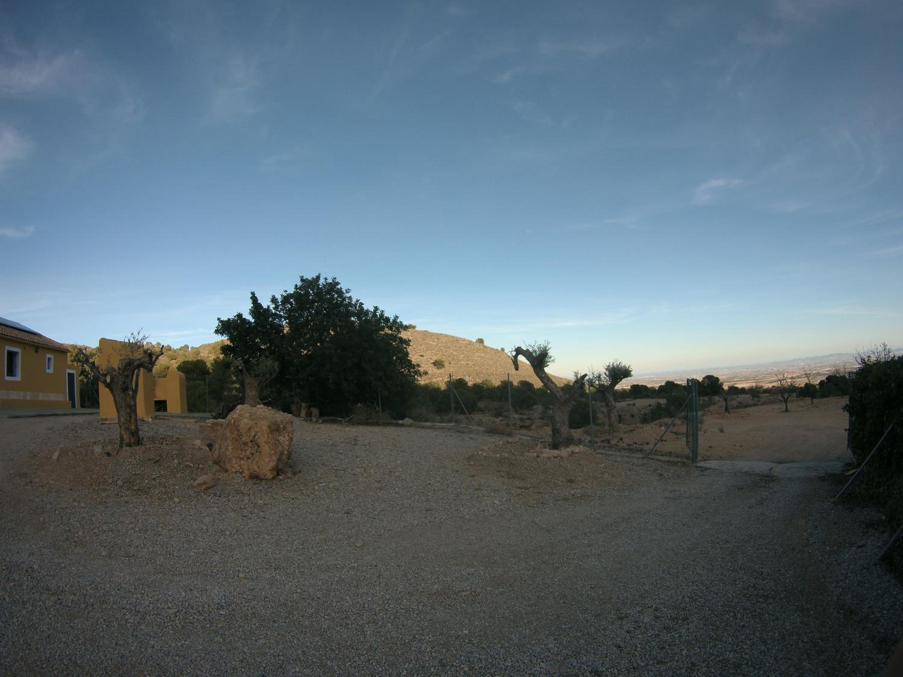 Photo 19