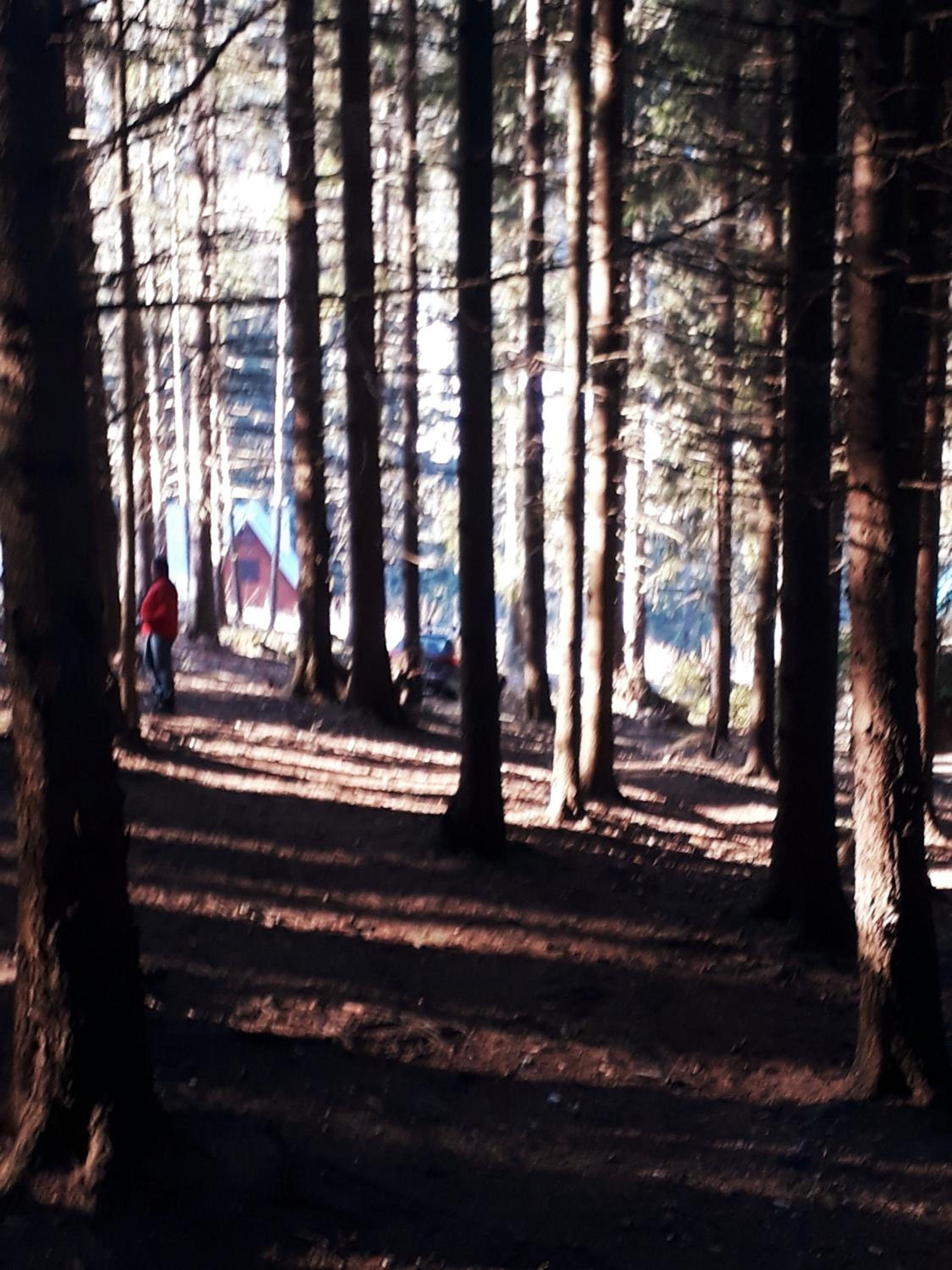 Photo 45