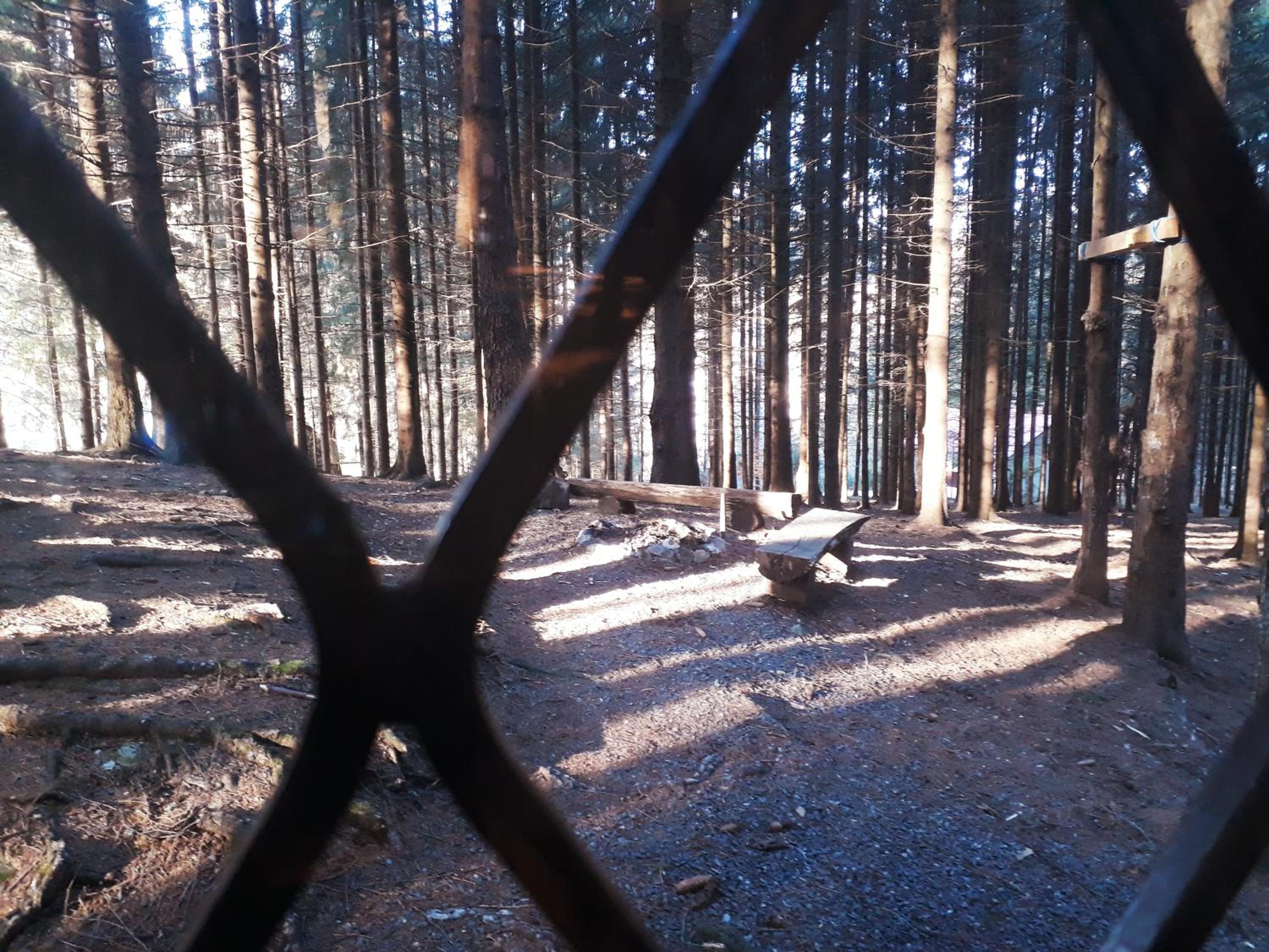 Photo 44
