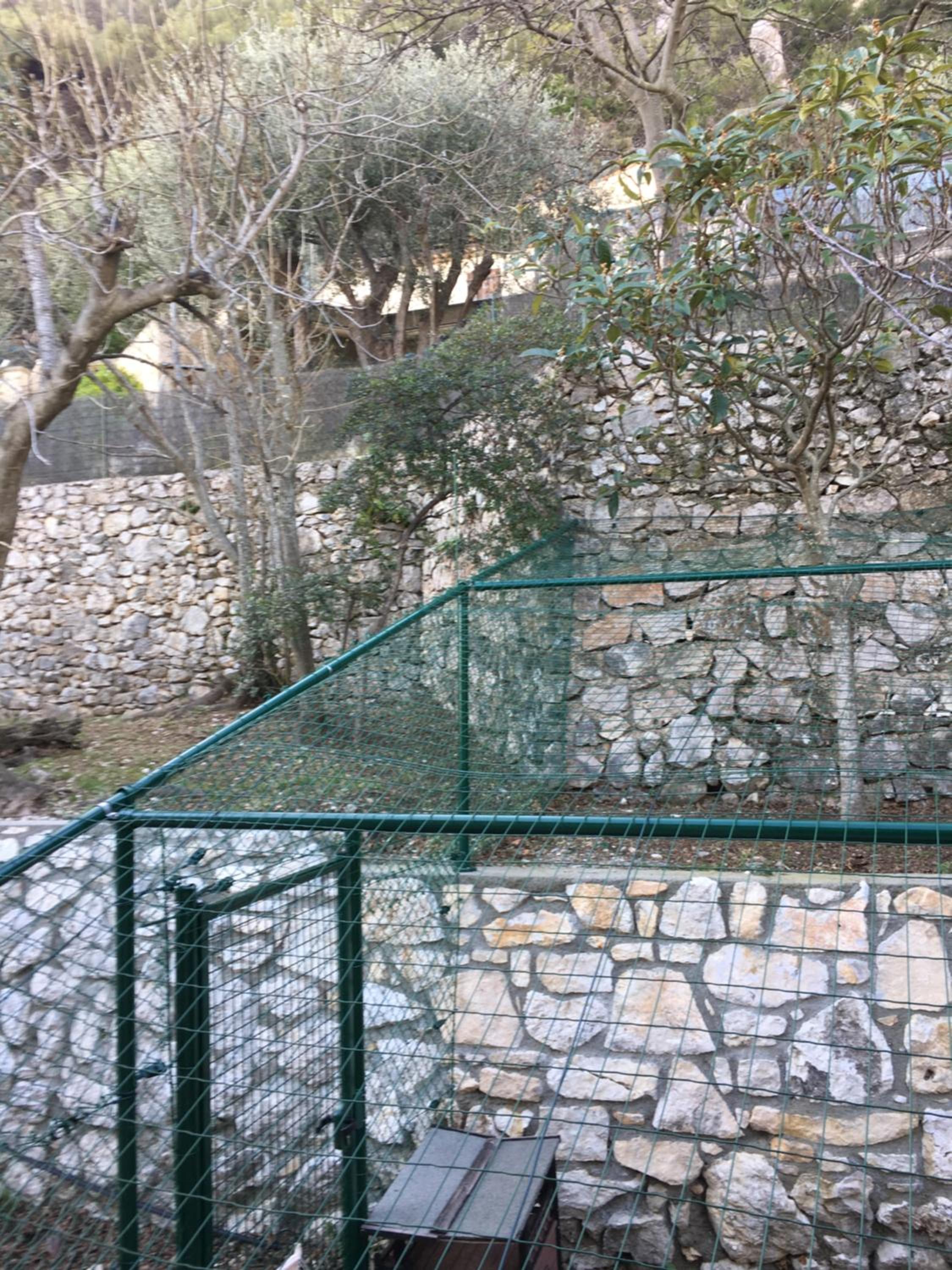 Photo 42