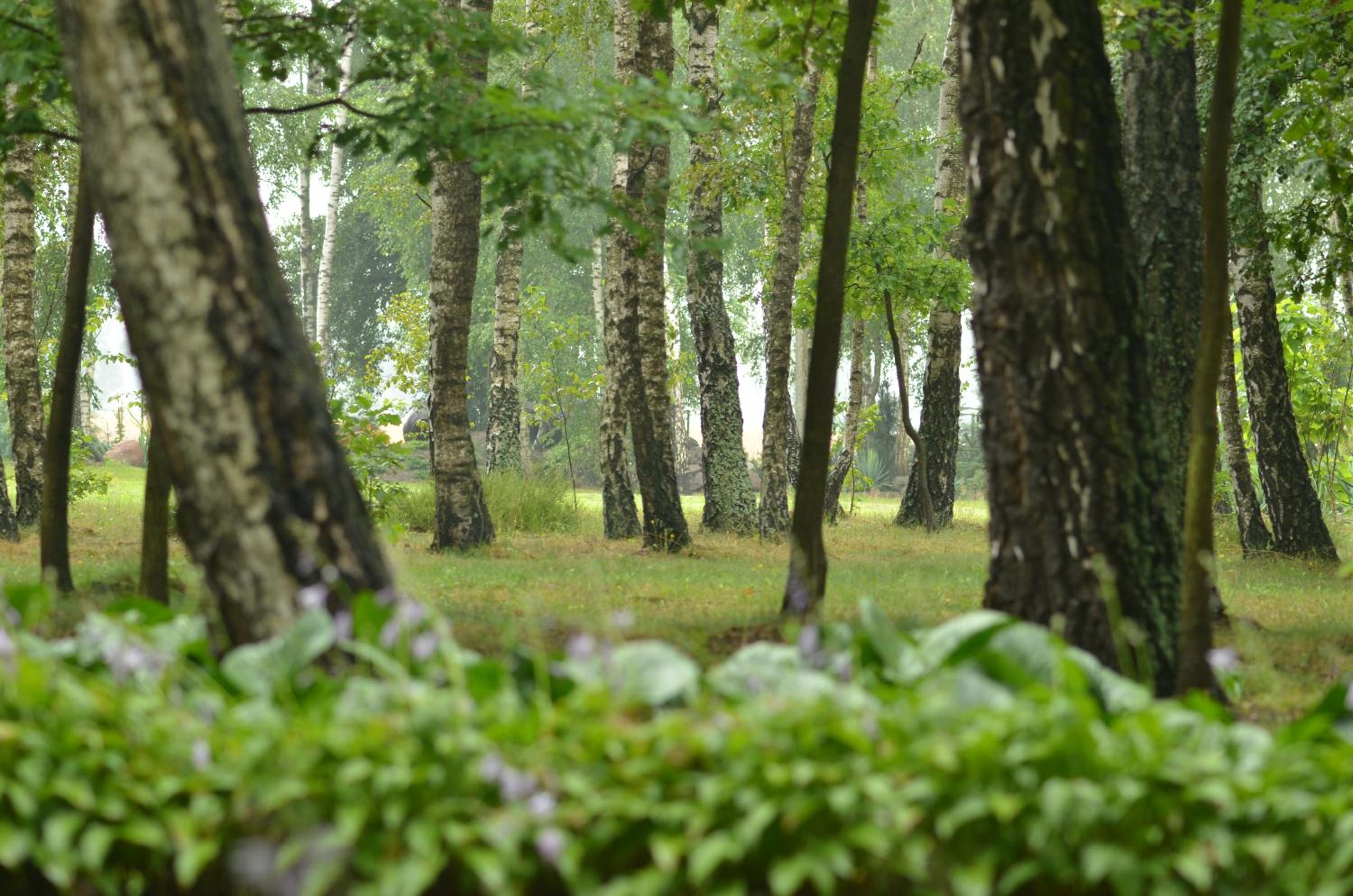 Zofijówka view 2