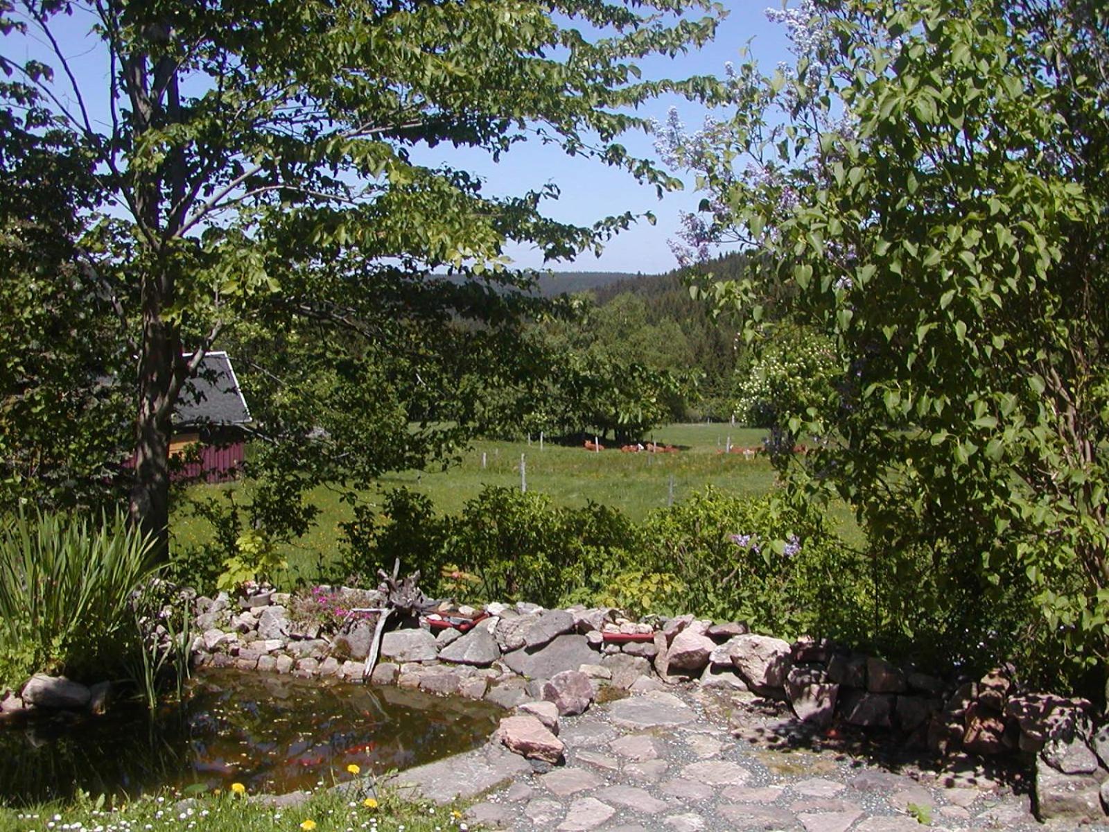 Ferienwohnung Petzold view 4