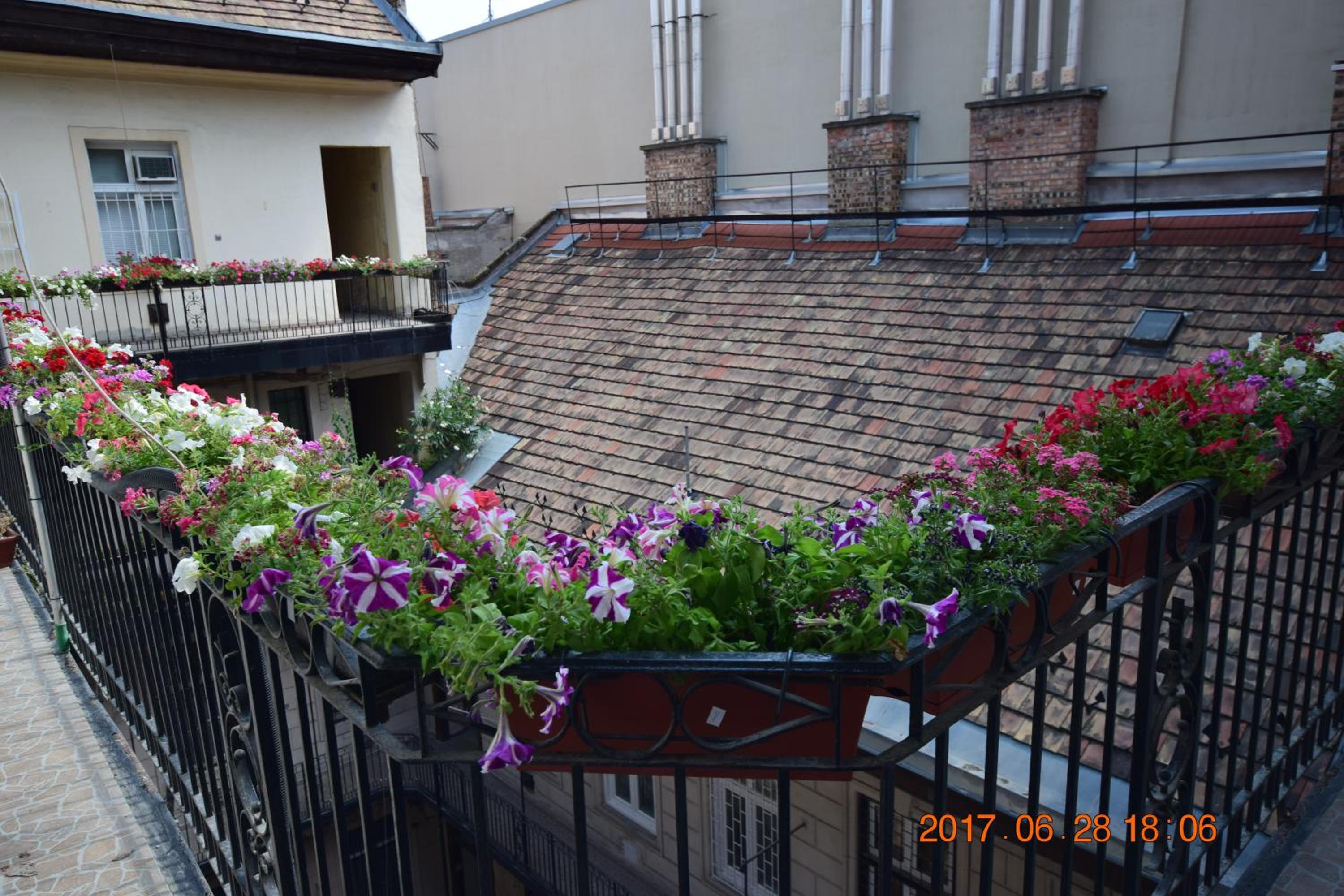 Eitans Guesthouse
