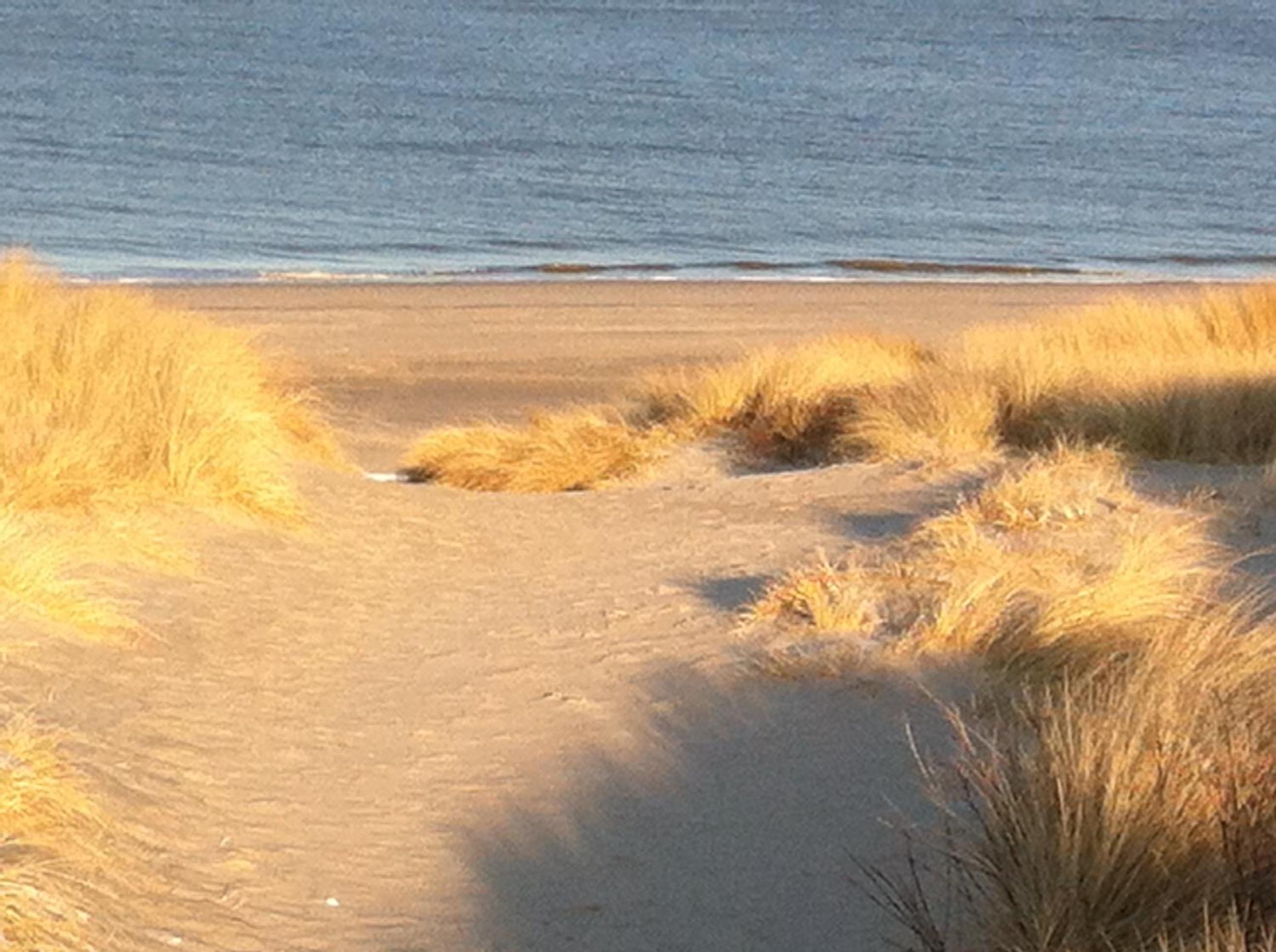 Austernperle en Sylt