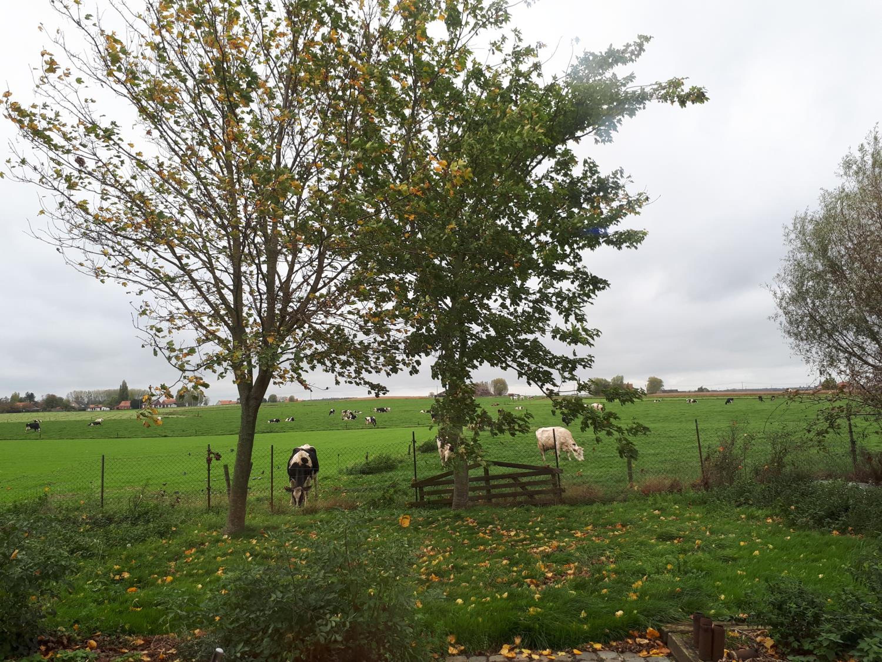 B&B De Linde
