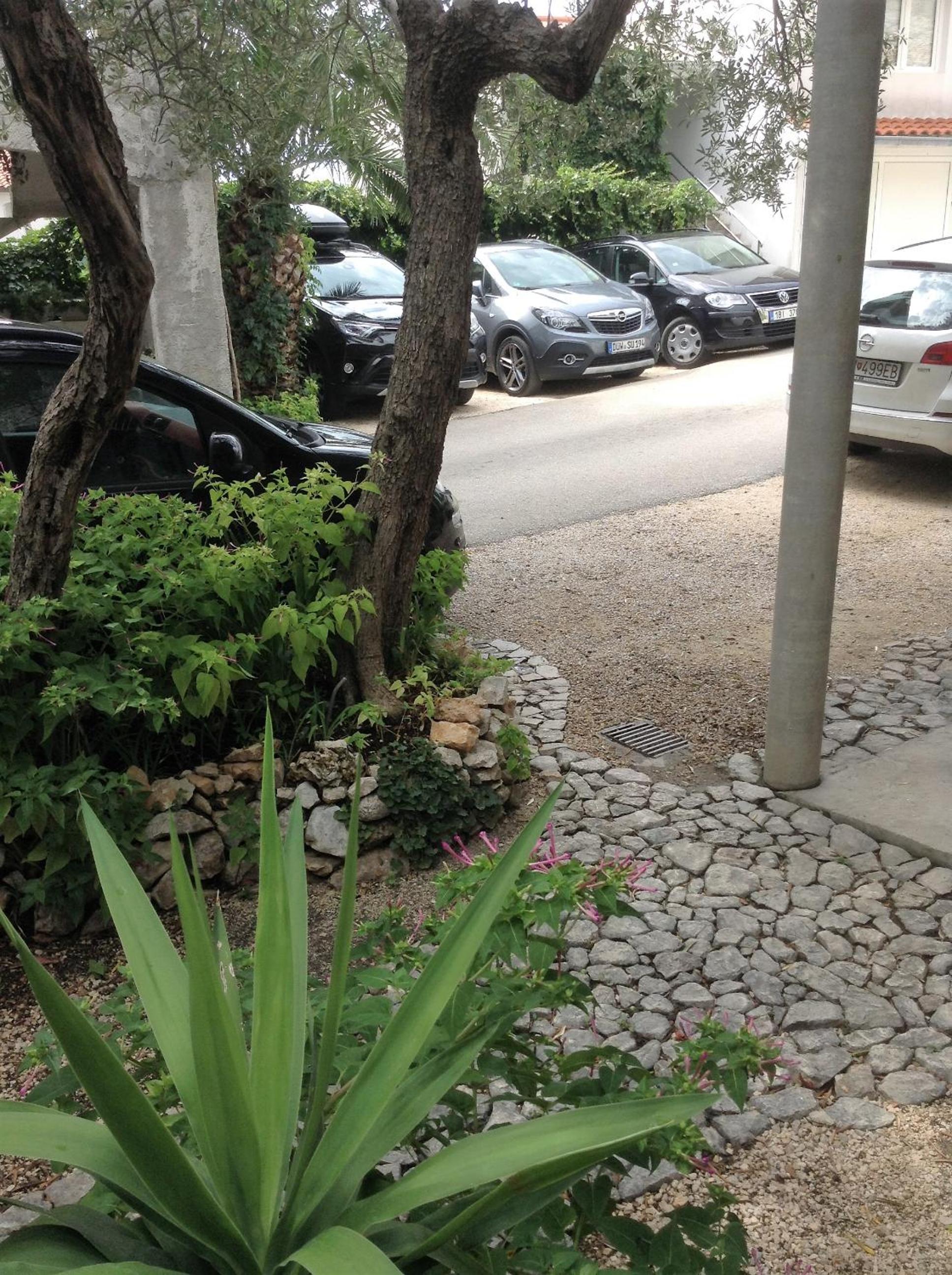 Photo 57