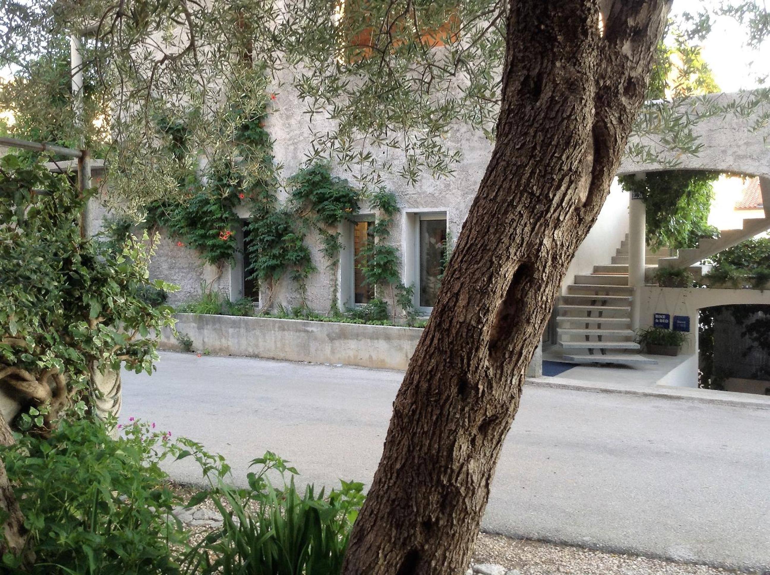 Photo 31