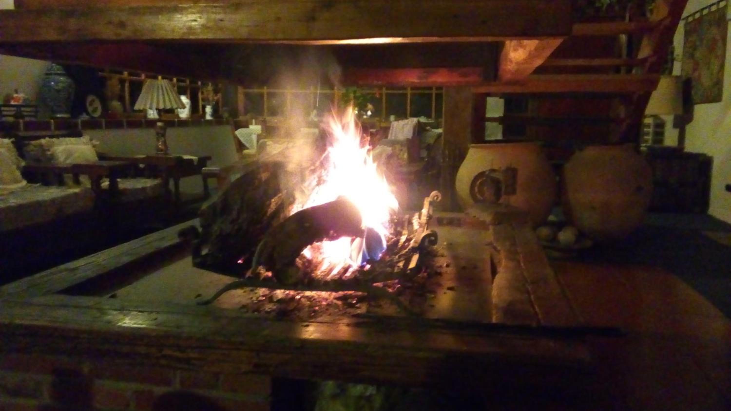 Photo 42