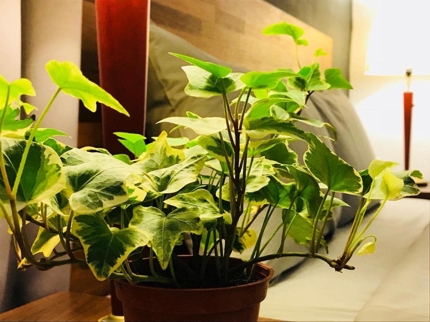 Kenting Cozy B&B