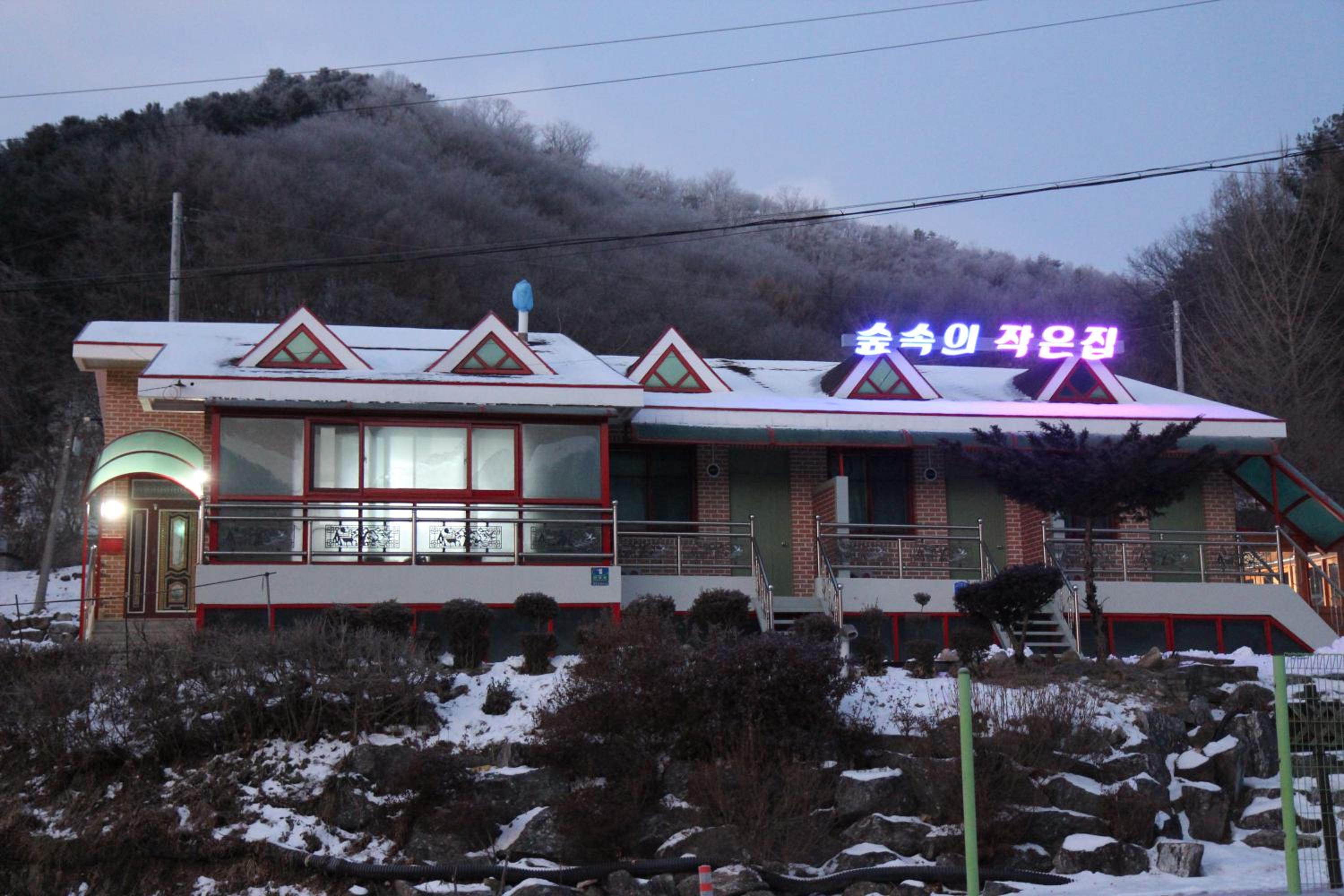 House of Forest view 3