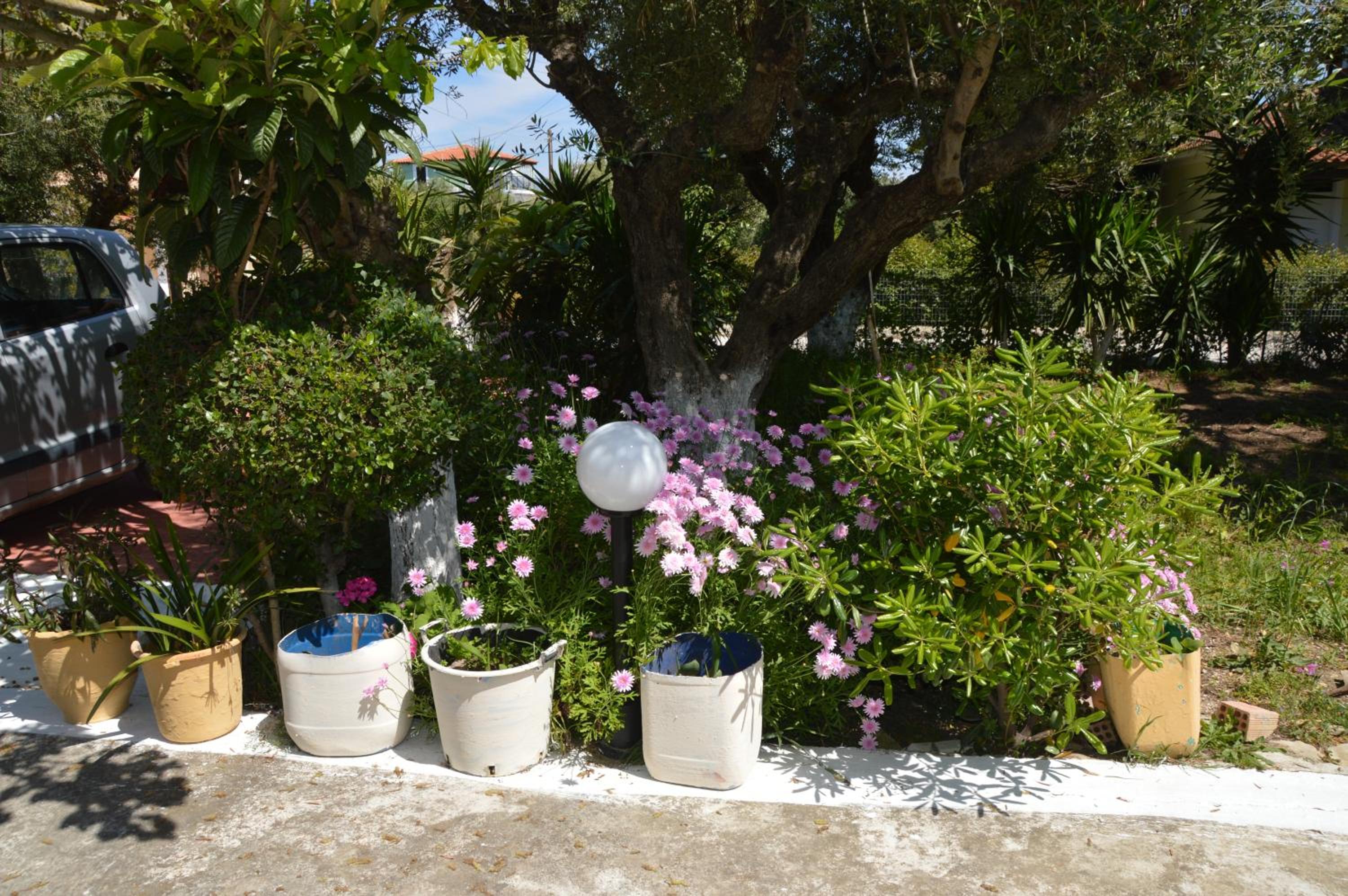 Photo 40