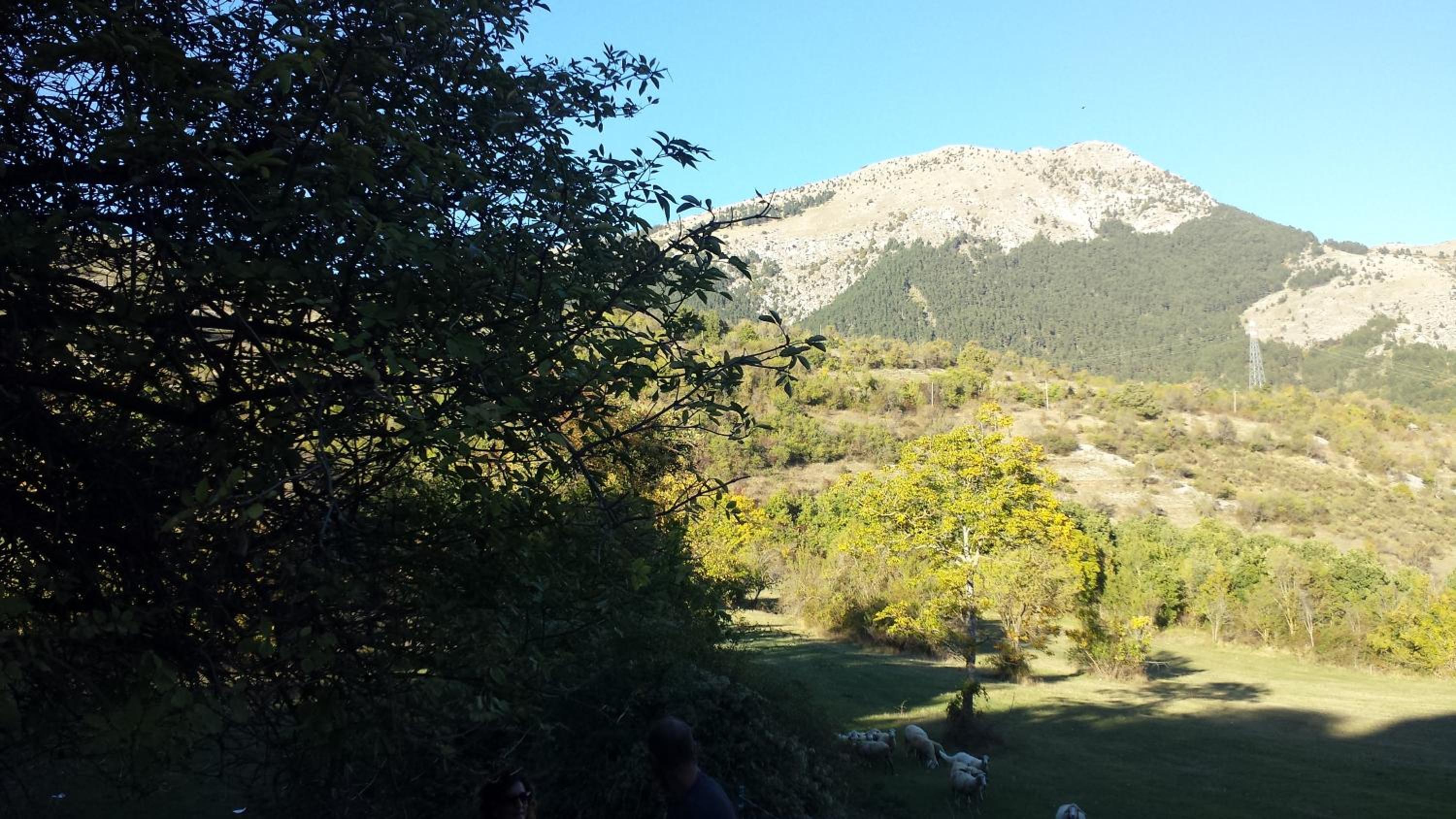 Agriturismo Cashmere