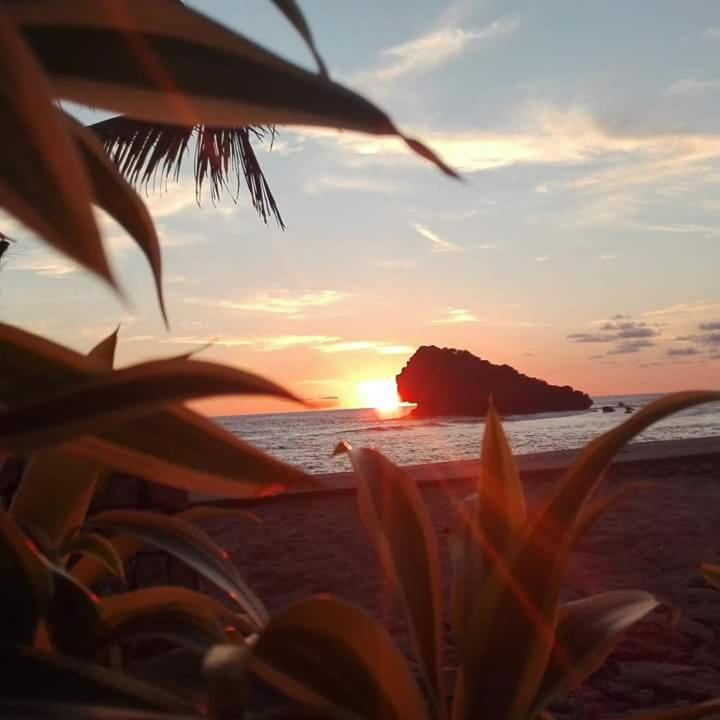 Arrys Watukarung Surfcamp