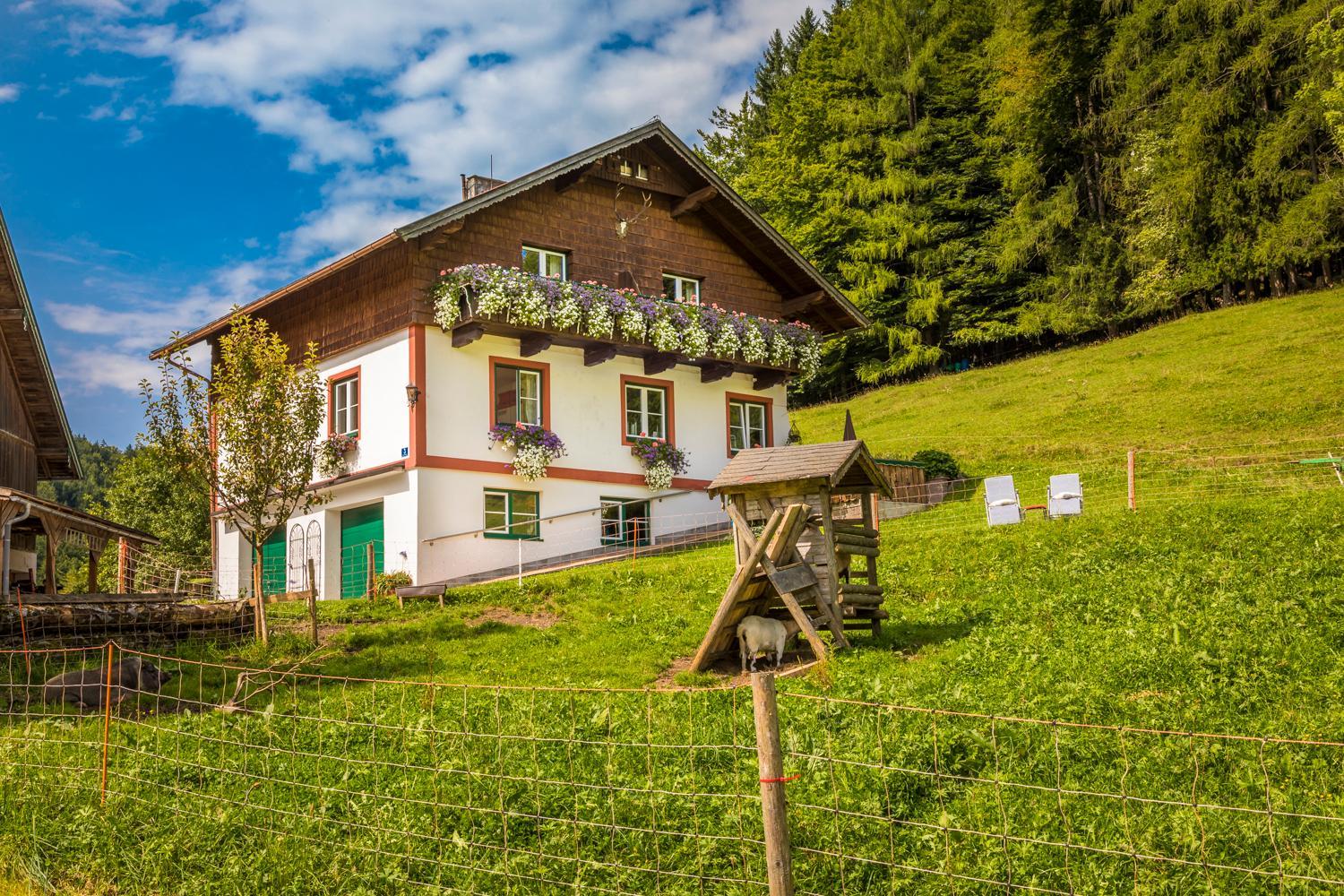 Wohlfühlbauernhof Bambichlhof