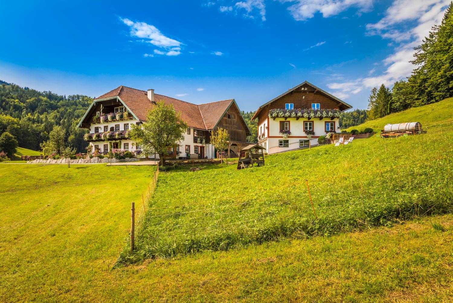 Wohlfühlbauernhof Bambichlhof